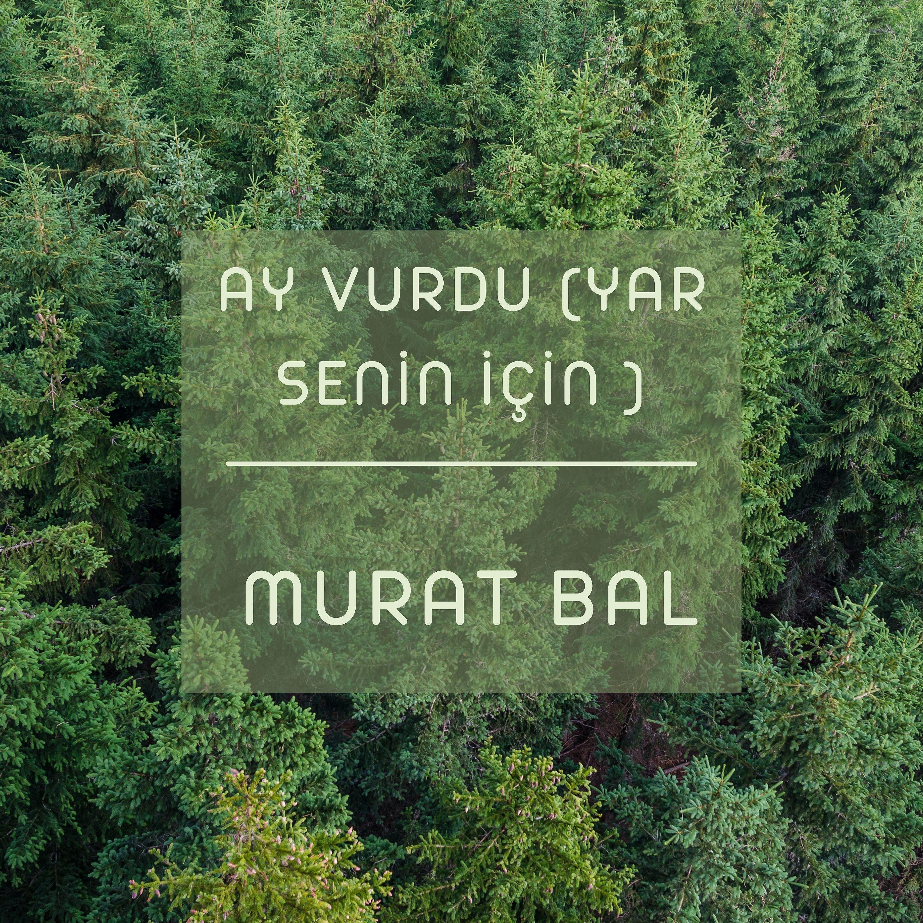 Релиз Ay Vurdu