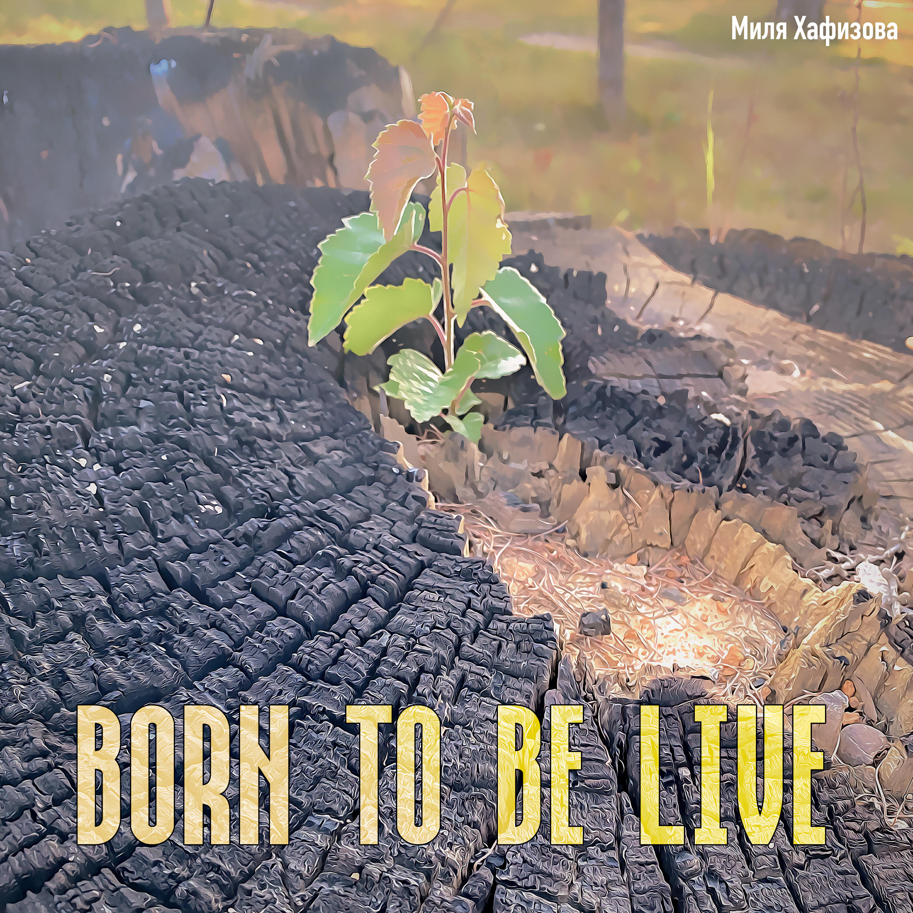 Релиз Born to be live