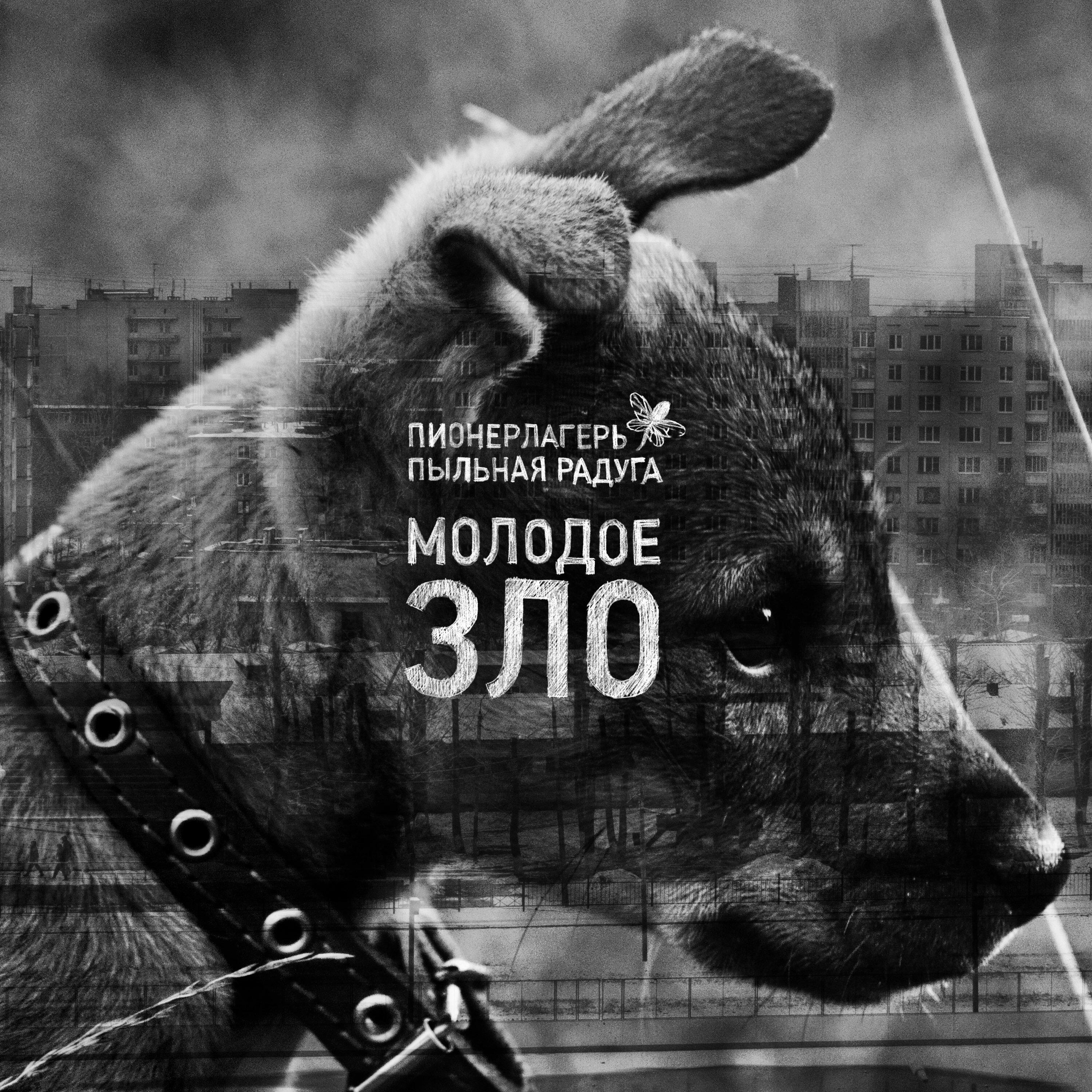 Релиз Молодое зло