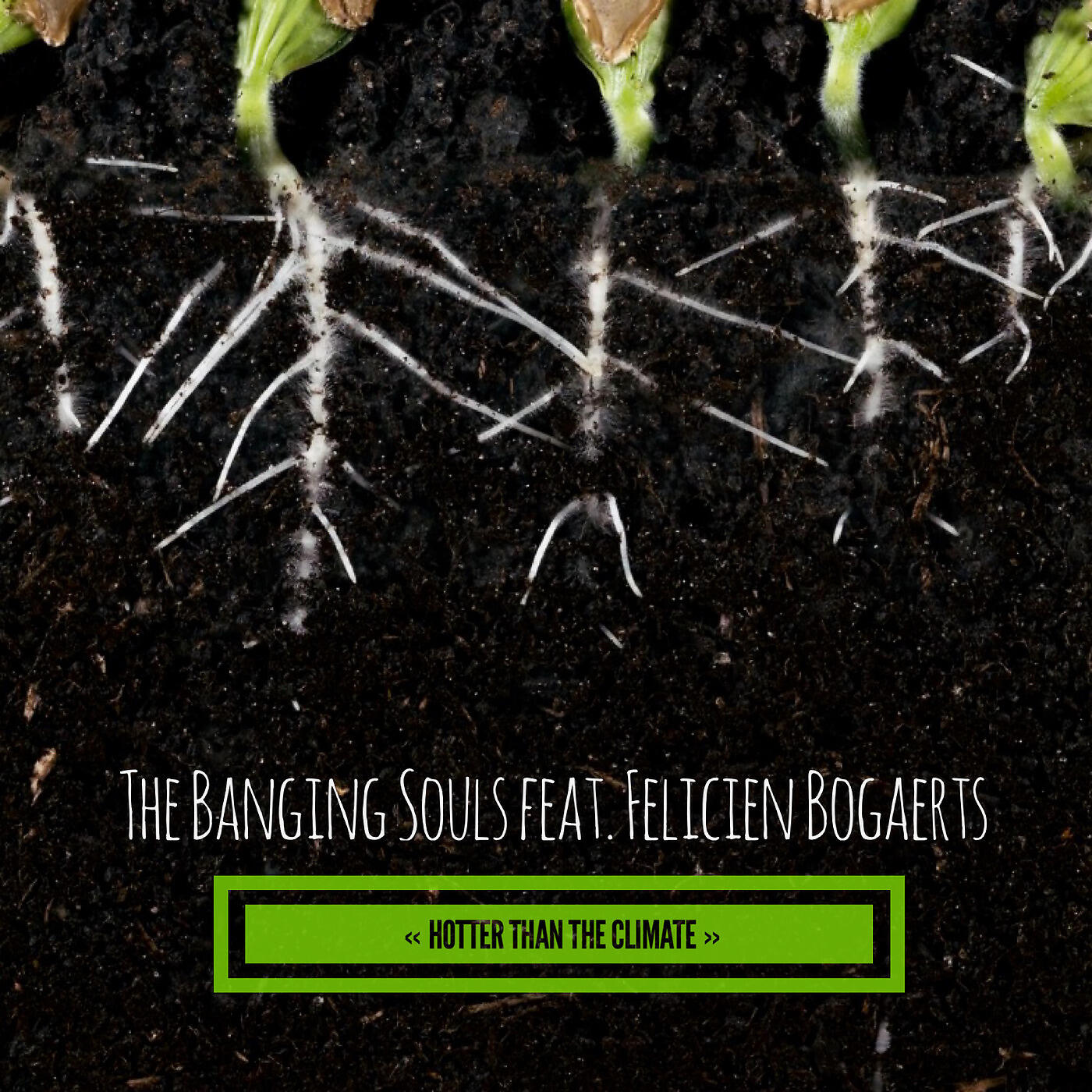 The Banging Souls