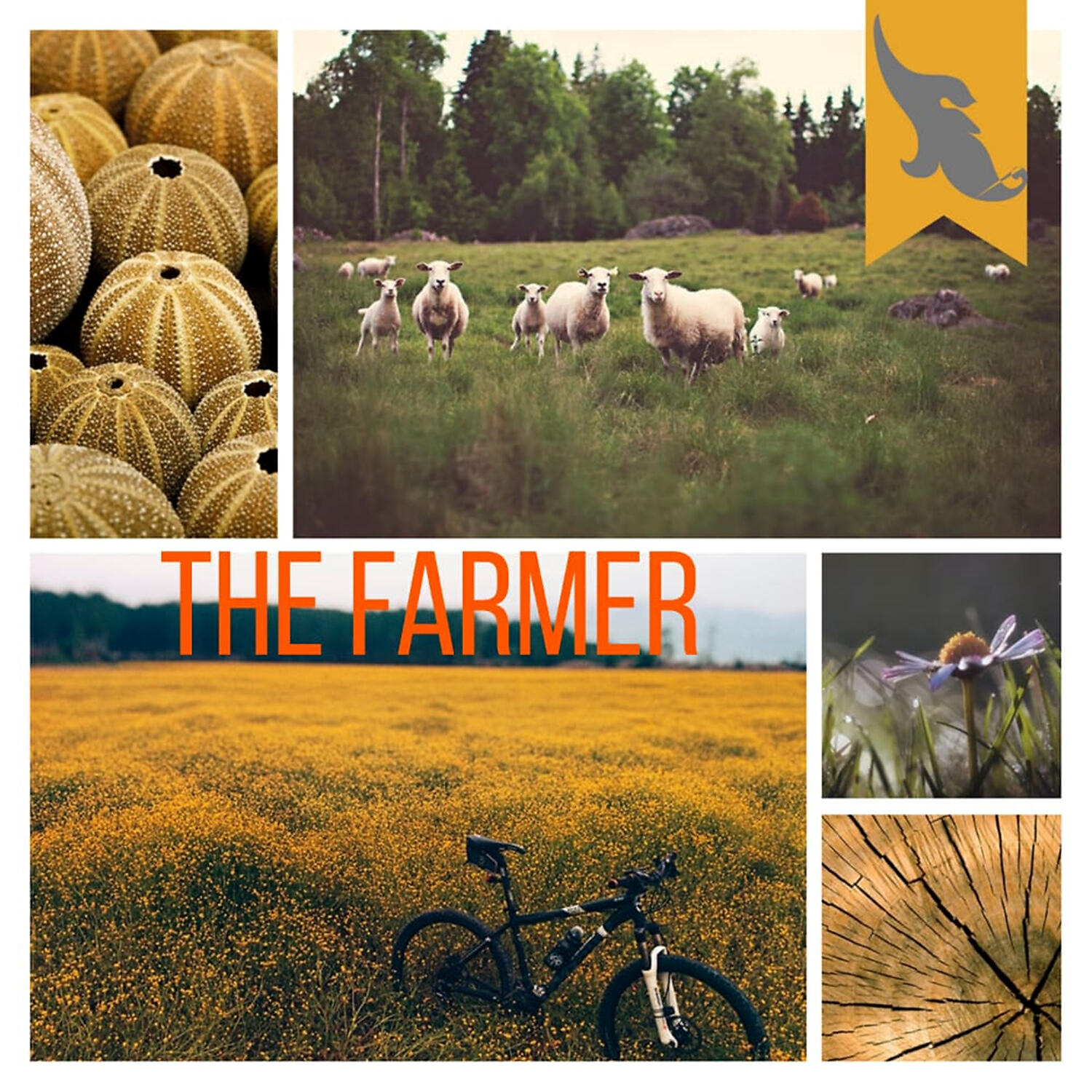 Релиз THE FARMER (feat. Copa Beats)