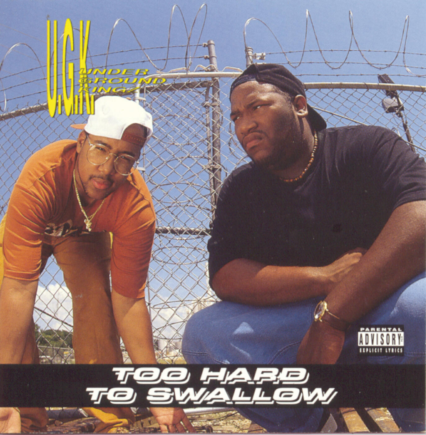 Релиз Too Hard To Swallow