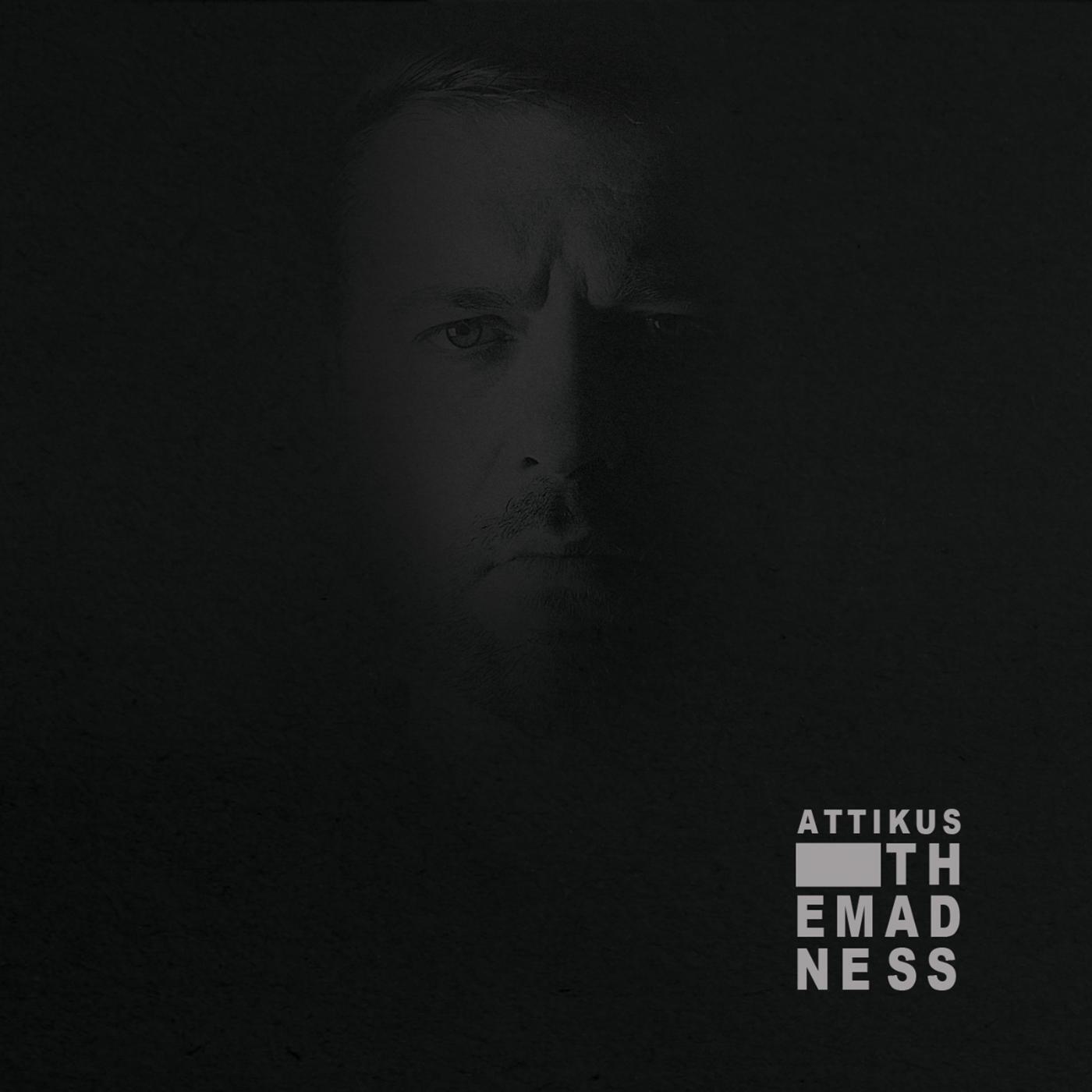 Релиз The Madness
