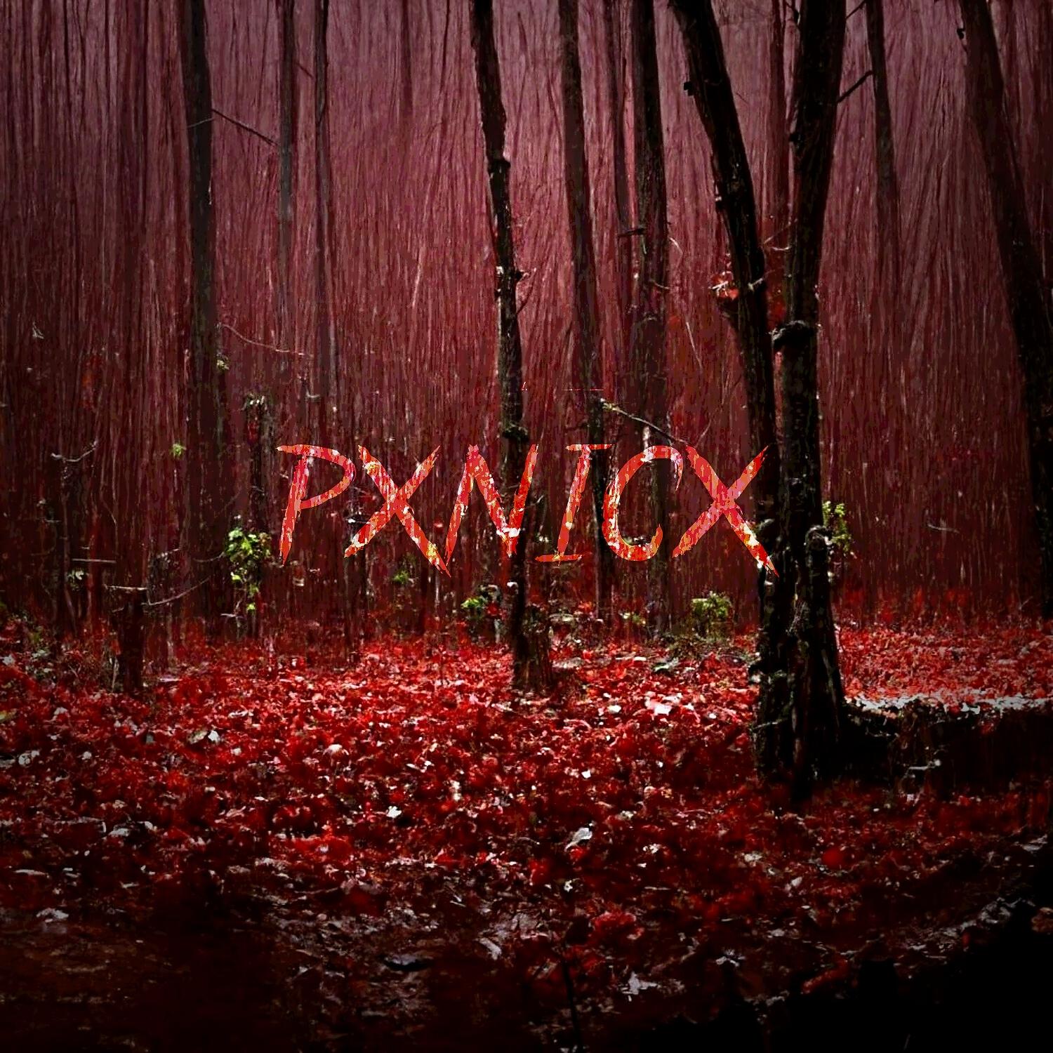 Релиз Pxnicx