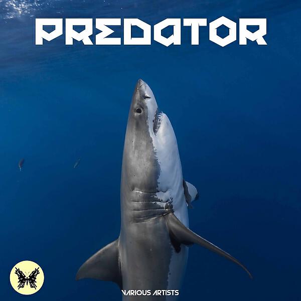 Релиз Predator