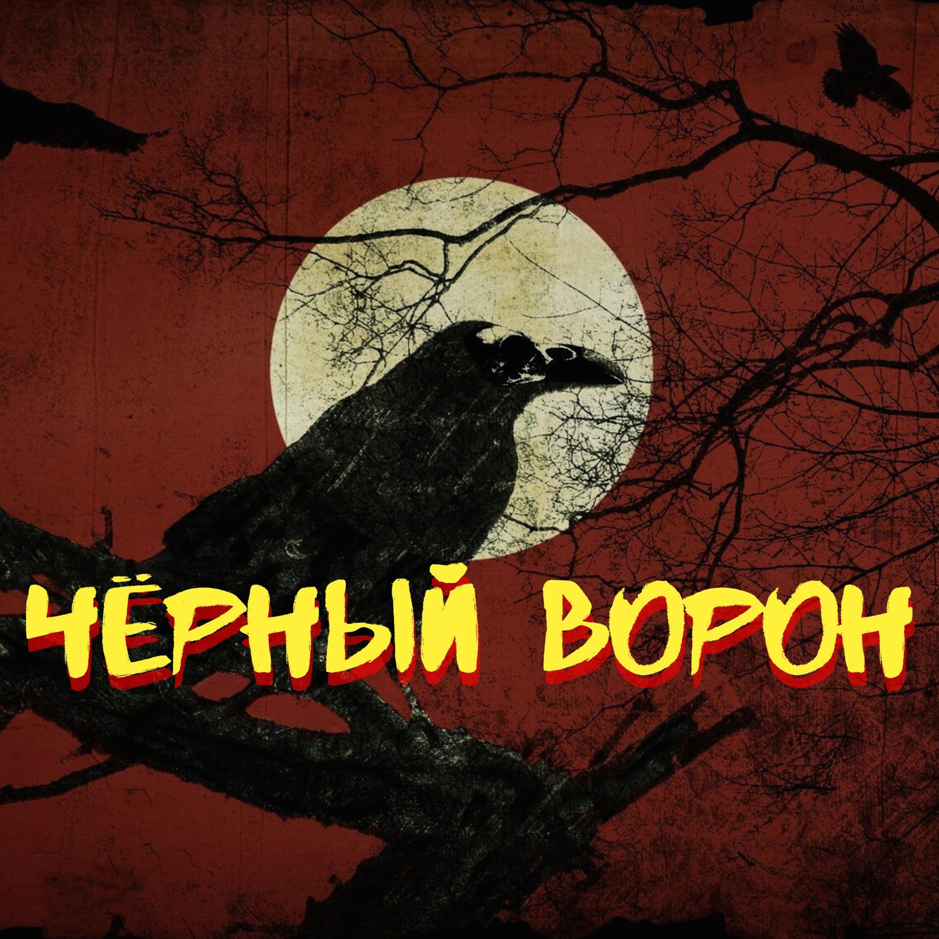 Постер альбома Чёрный ворон