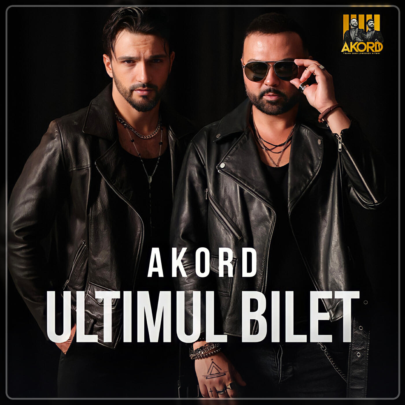 Релиз Ultimul Bilet
