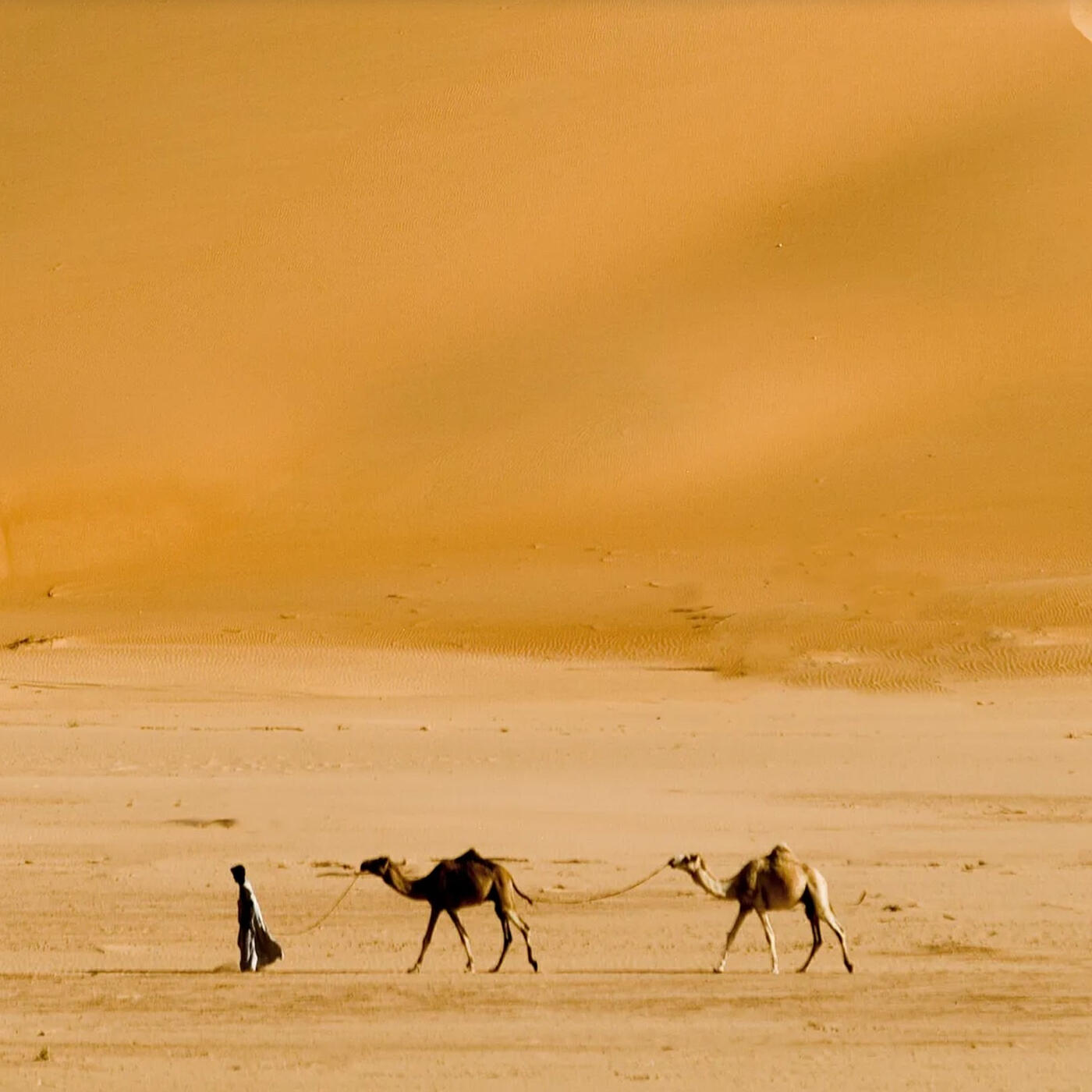 Релиз Lawrence of Arabia