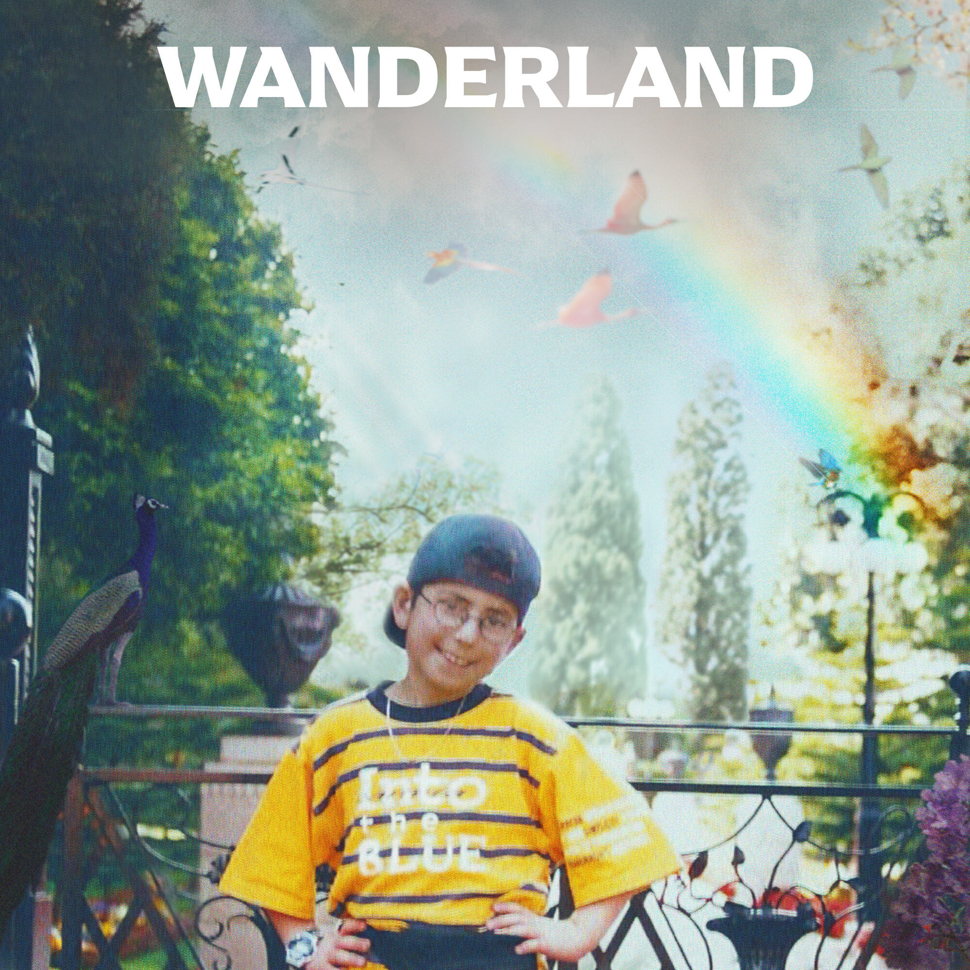 Релиз Wanderland