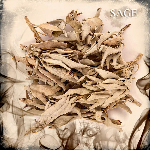 Релиз Sage
