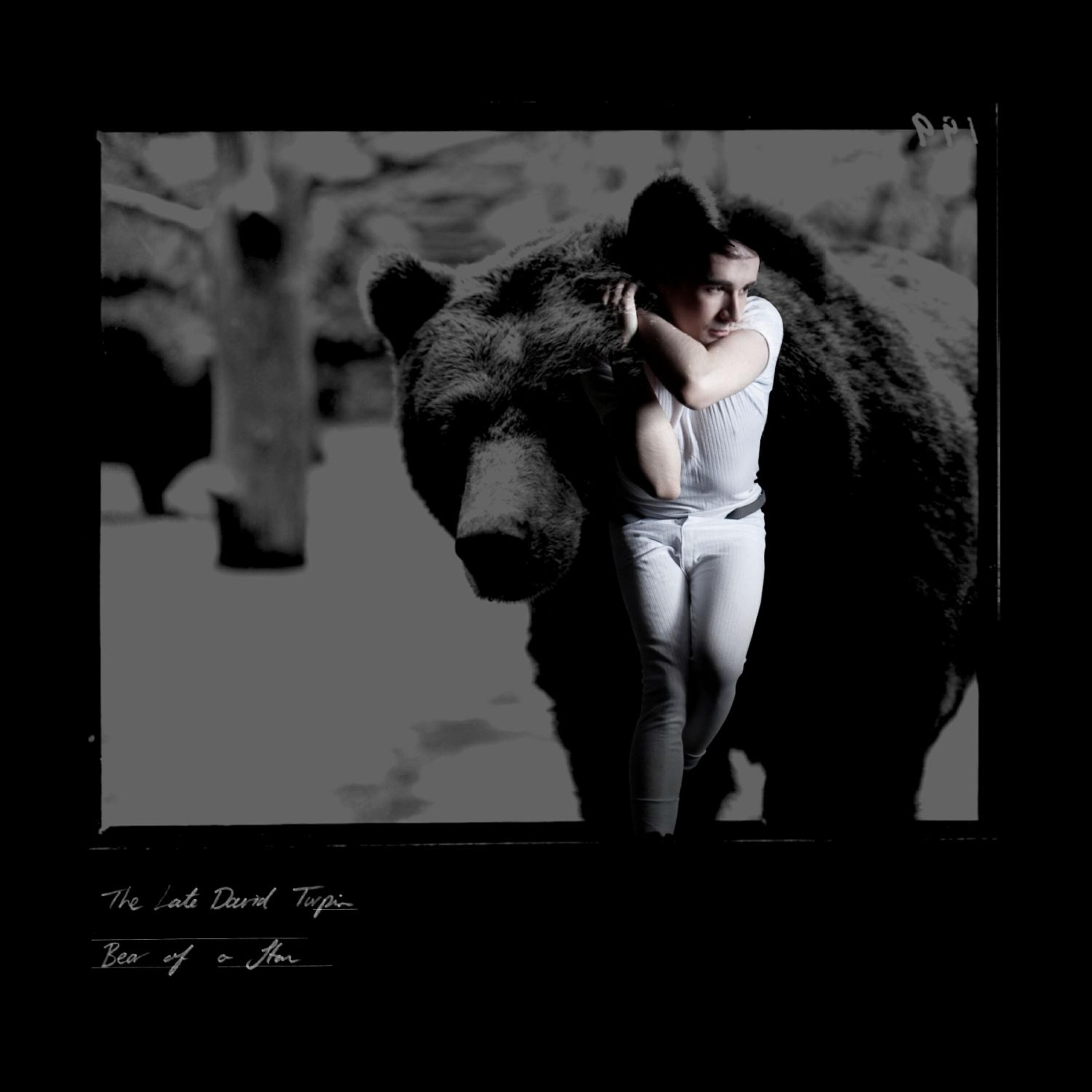 Релиз Bear of a Star