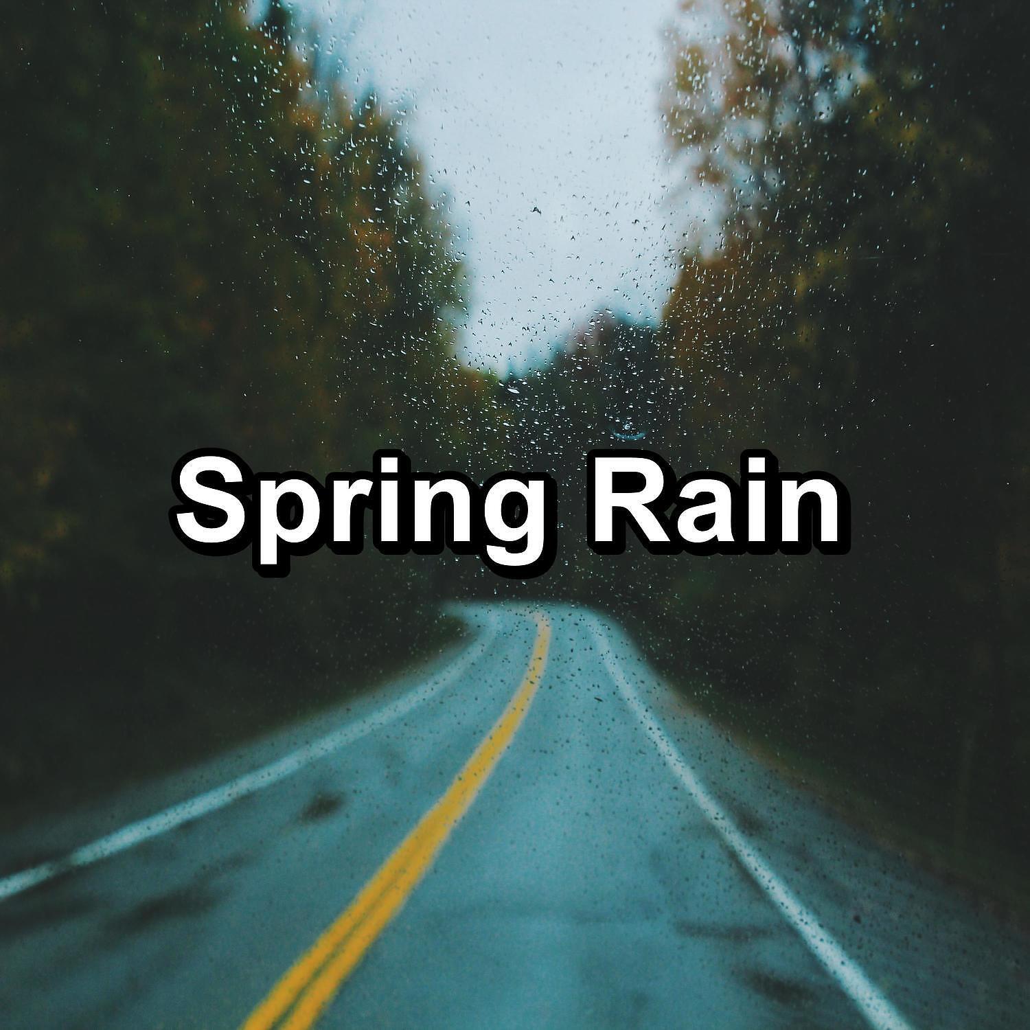 Релиз Spring Rain