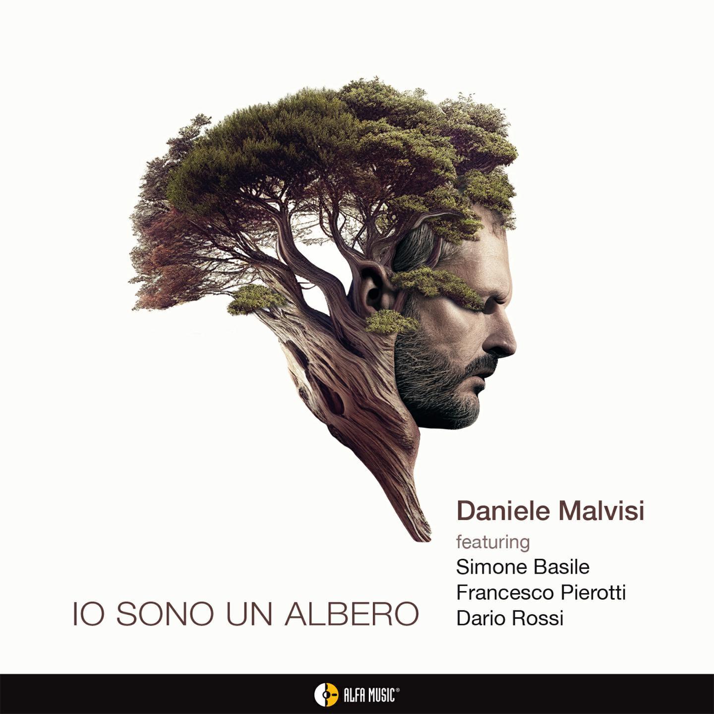Daniele Malvisi