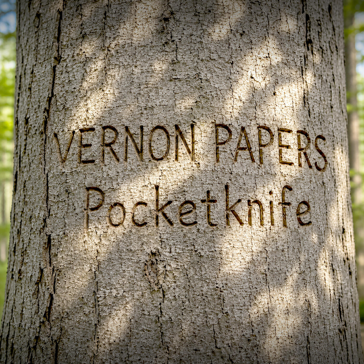 Vernon Papers