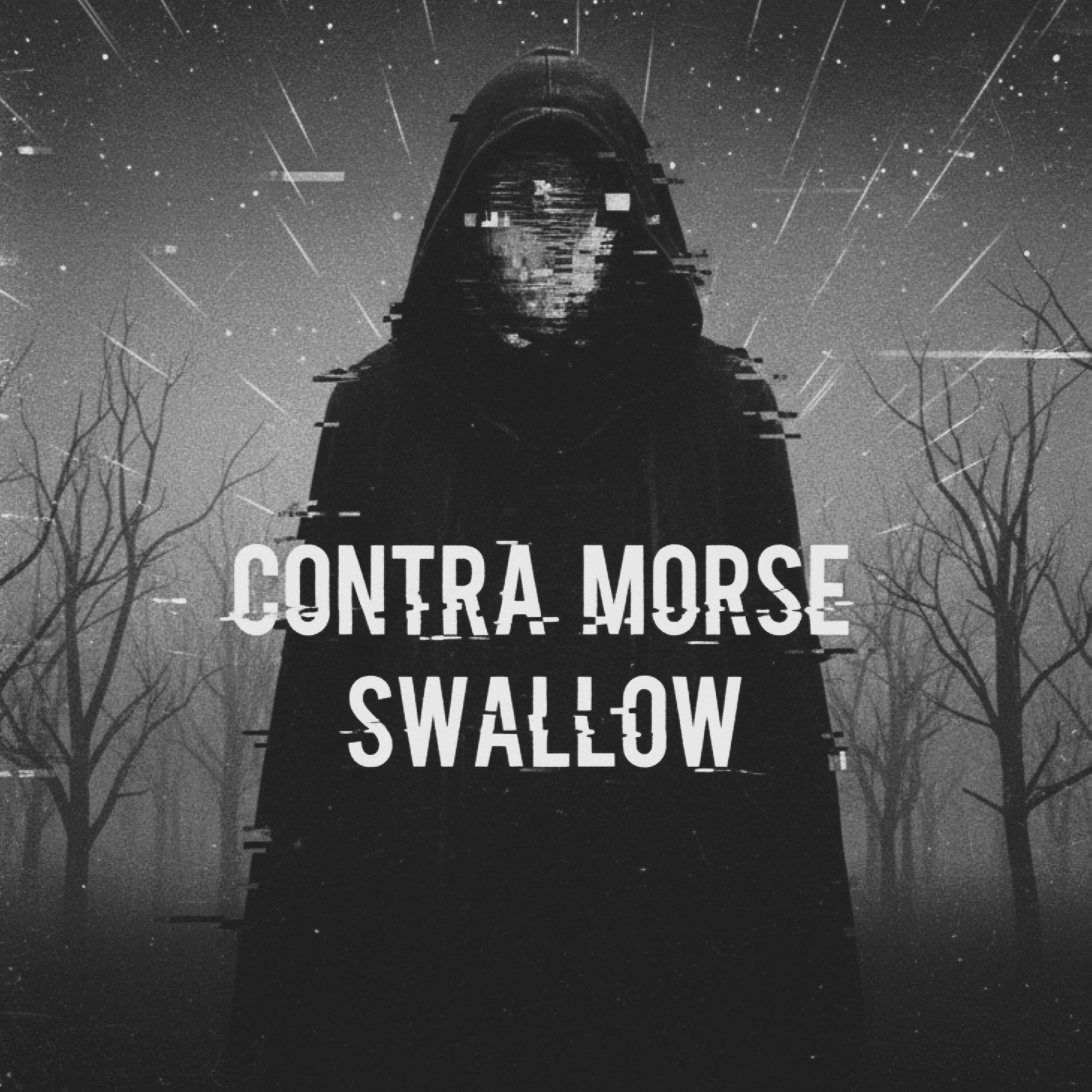 Релиз Swallow