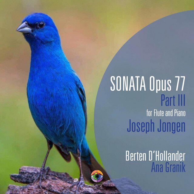 Релиз Sonata Opus 77, Pt. 3
