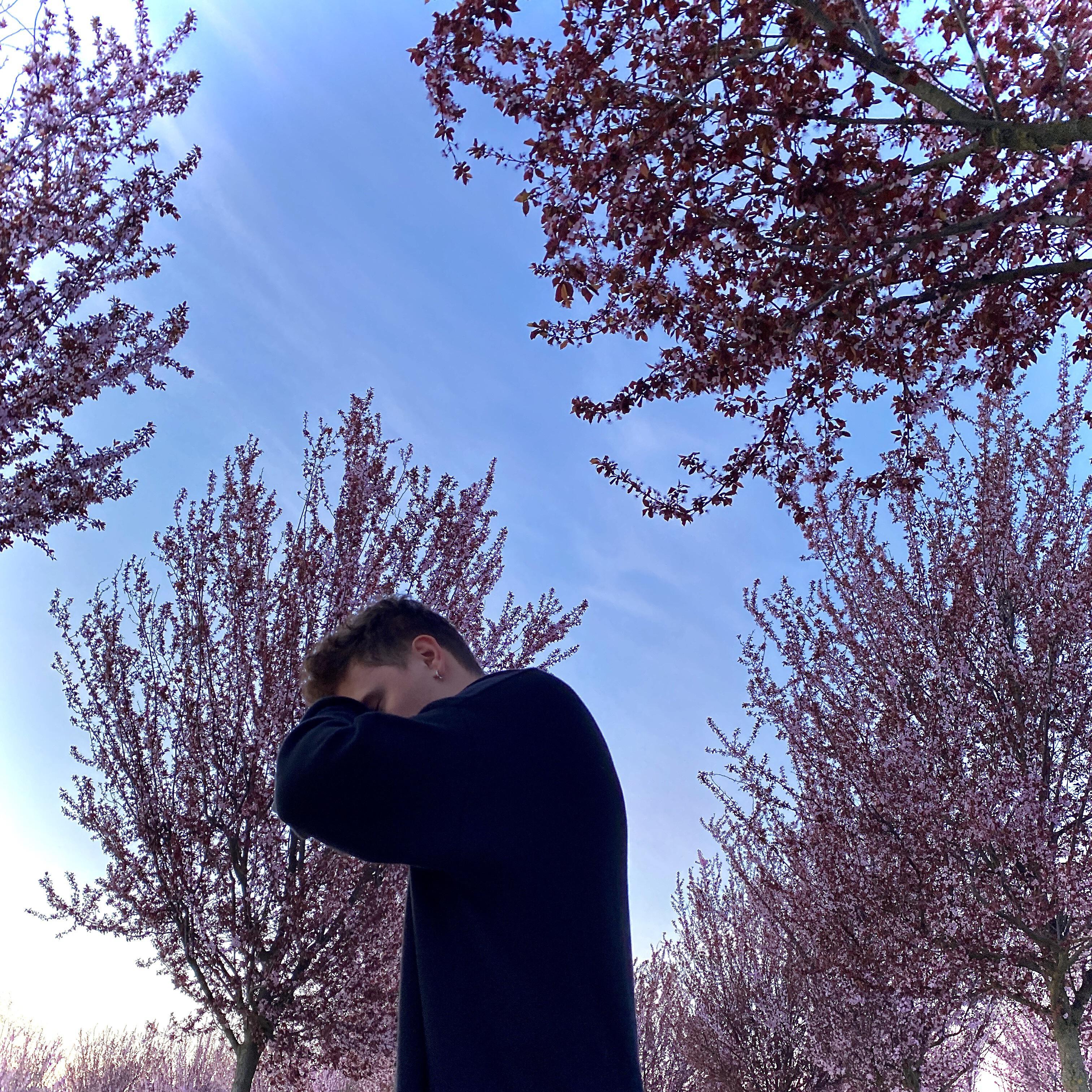Релиз Sakura