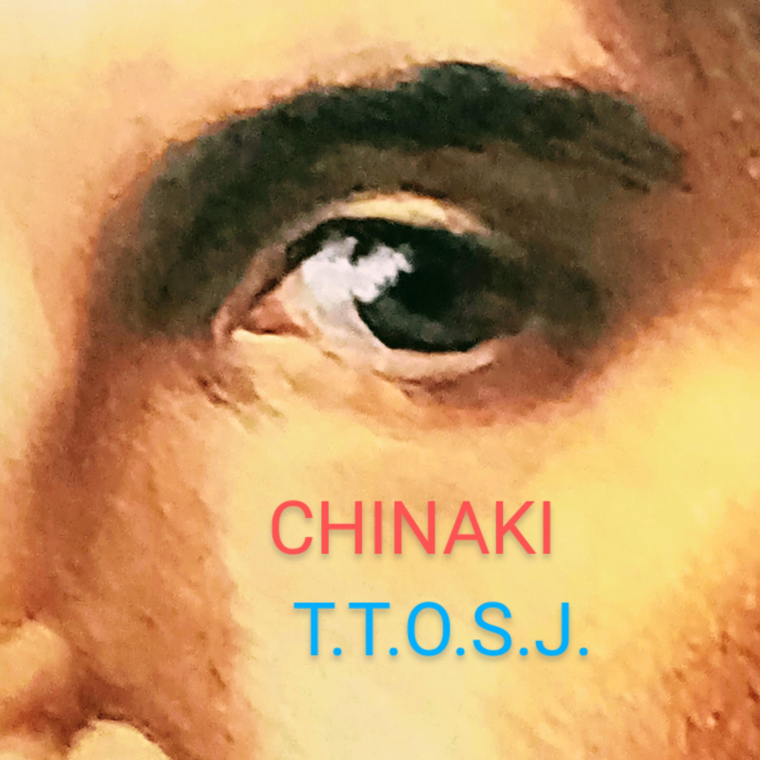 Релиз T.T.O.S.J.