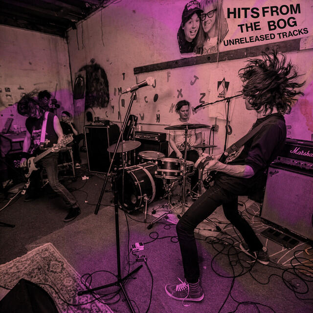 Релиз Hits from the Bog (Unreleased Tracks)