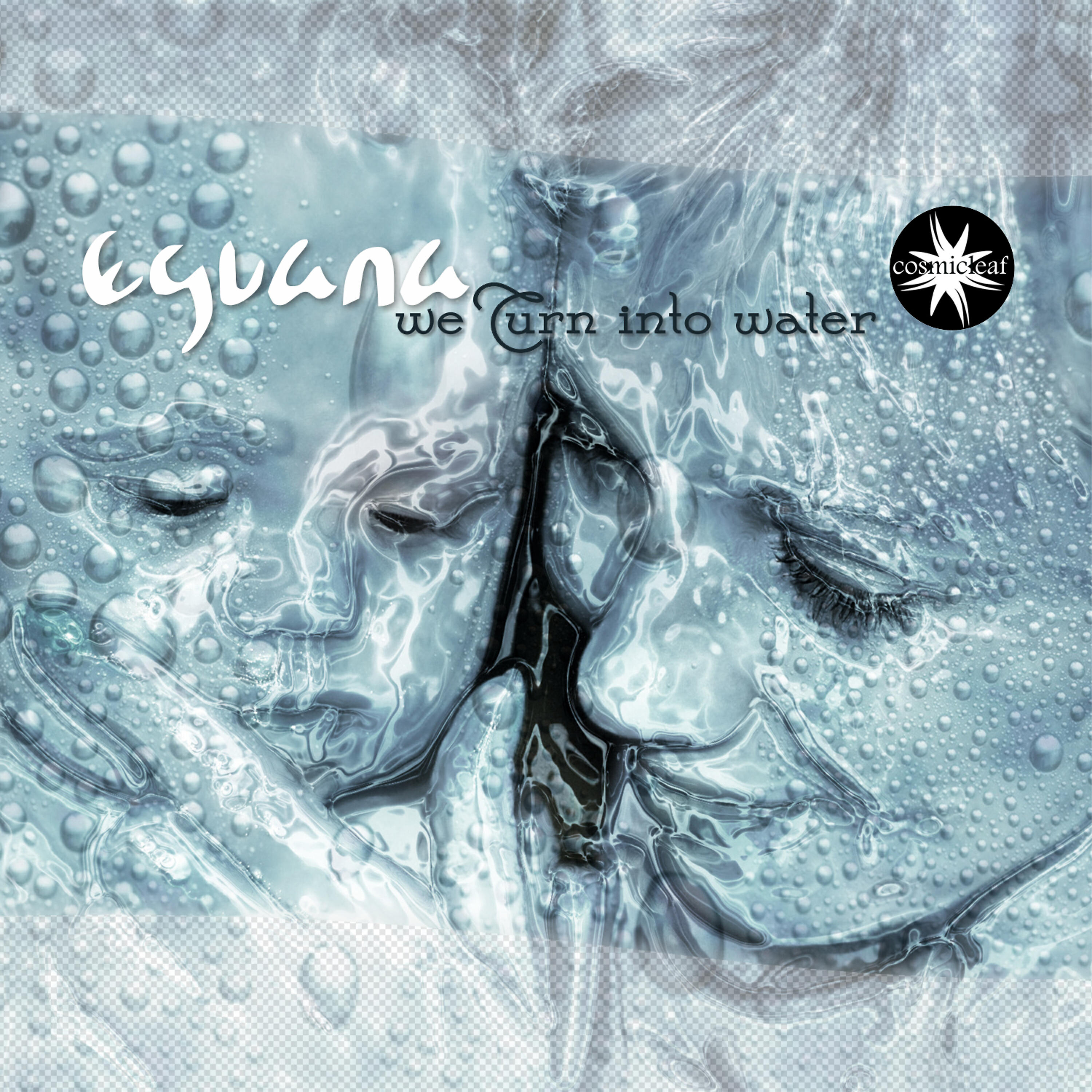 Релиз We Turn Into Water