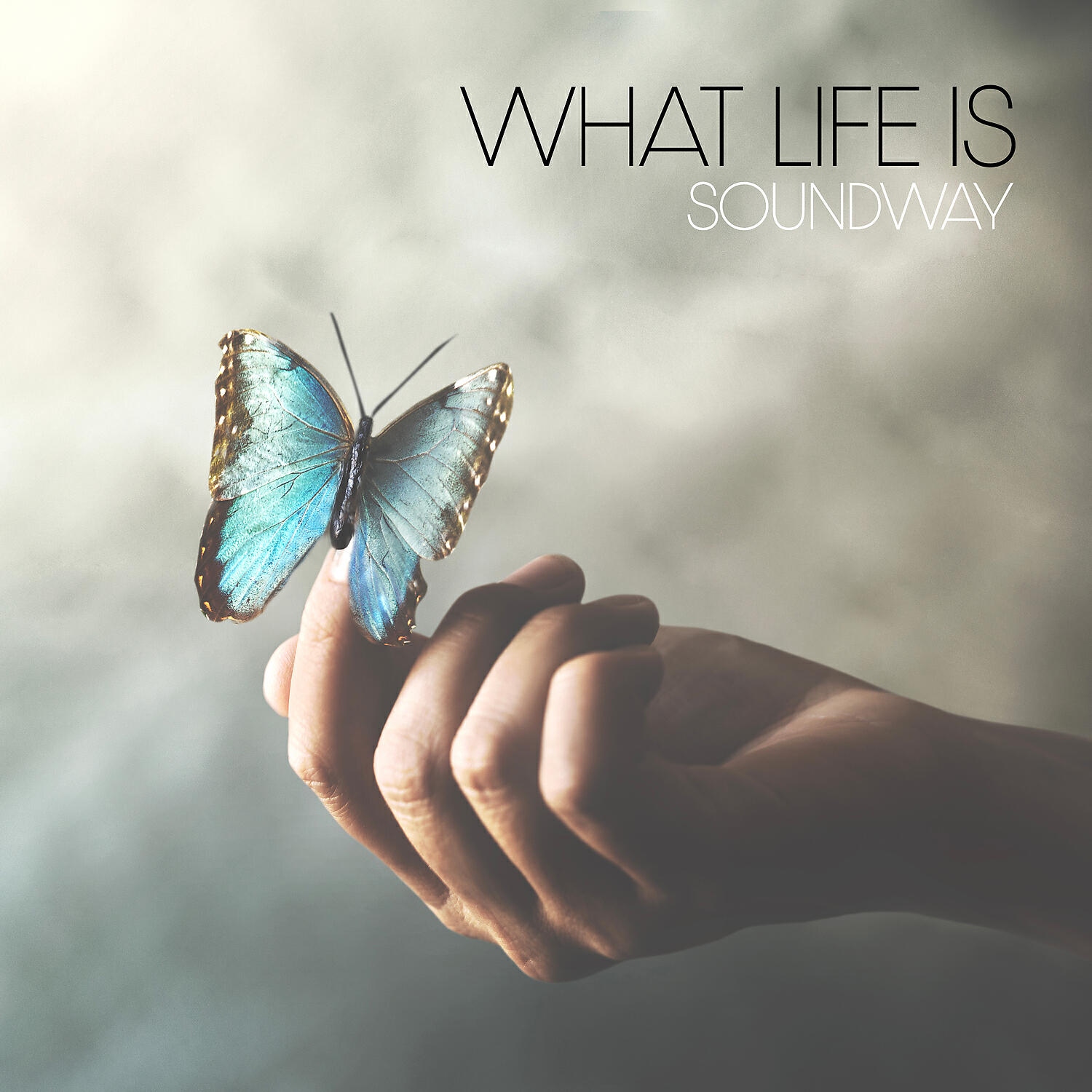 Релиз What Life Is