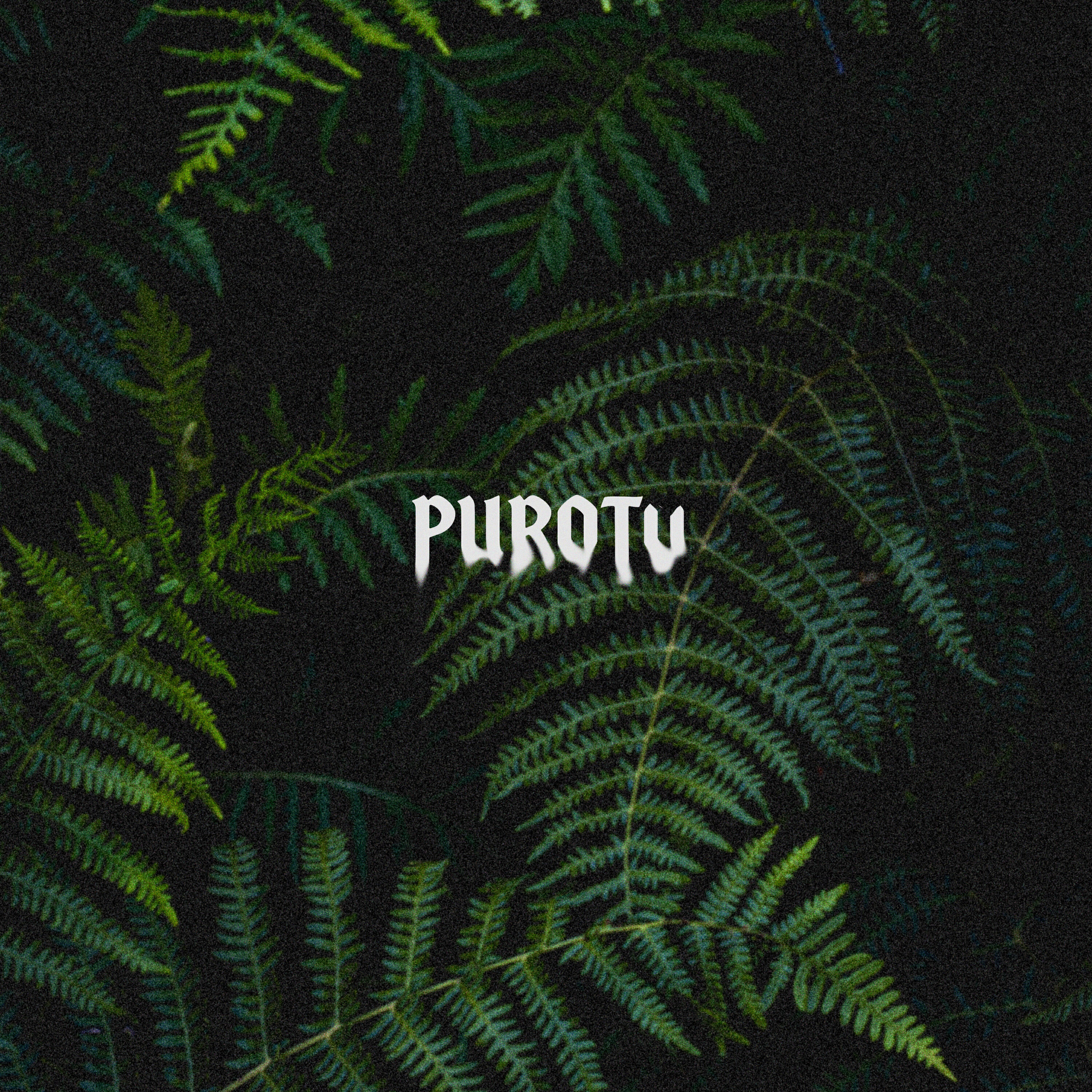 Релиз Purotu