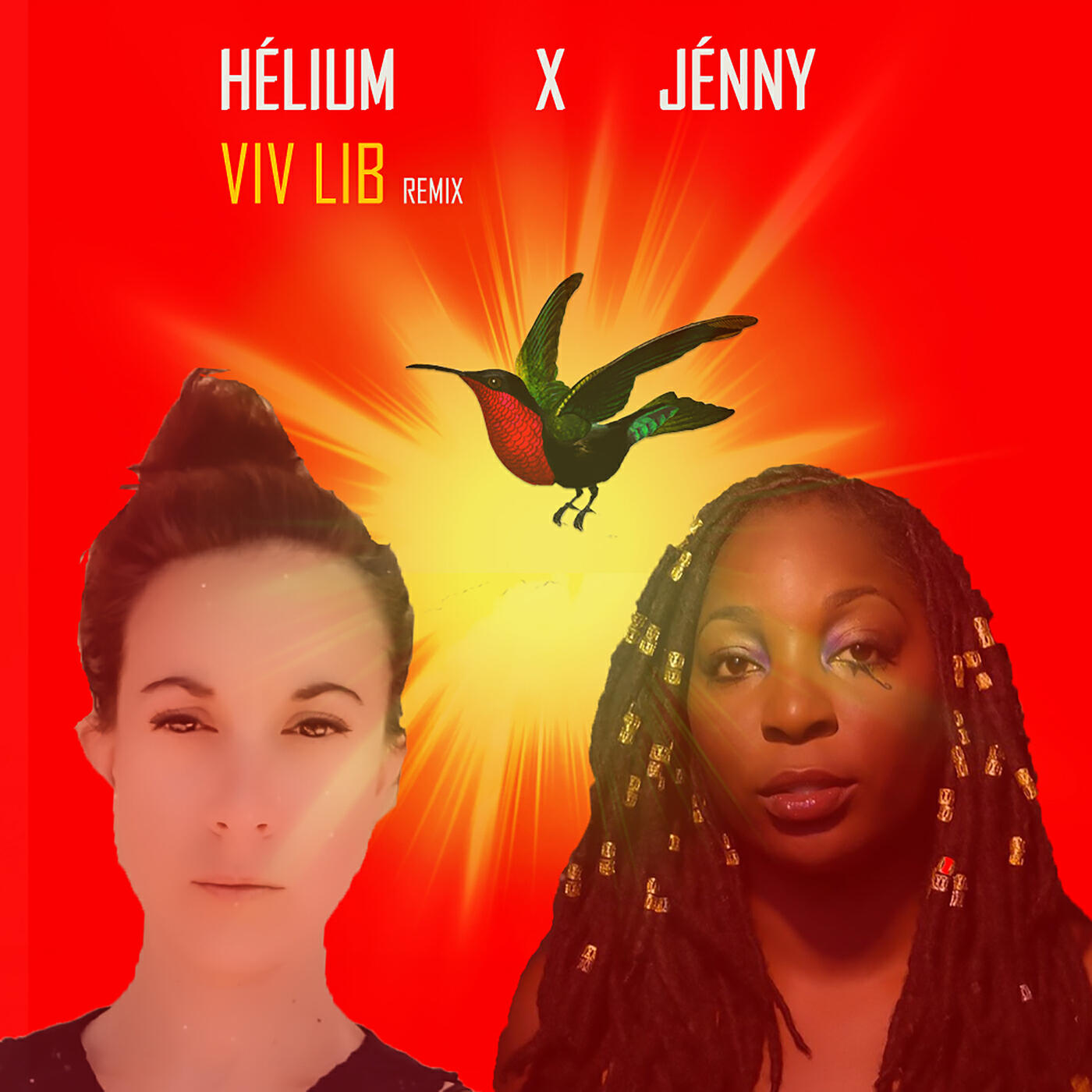 Релиз Viv lib (Remix)