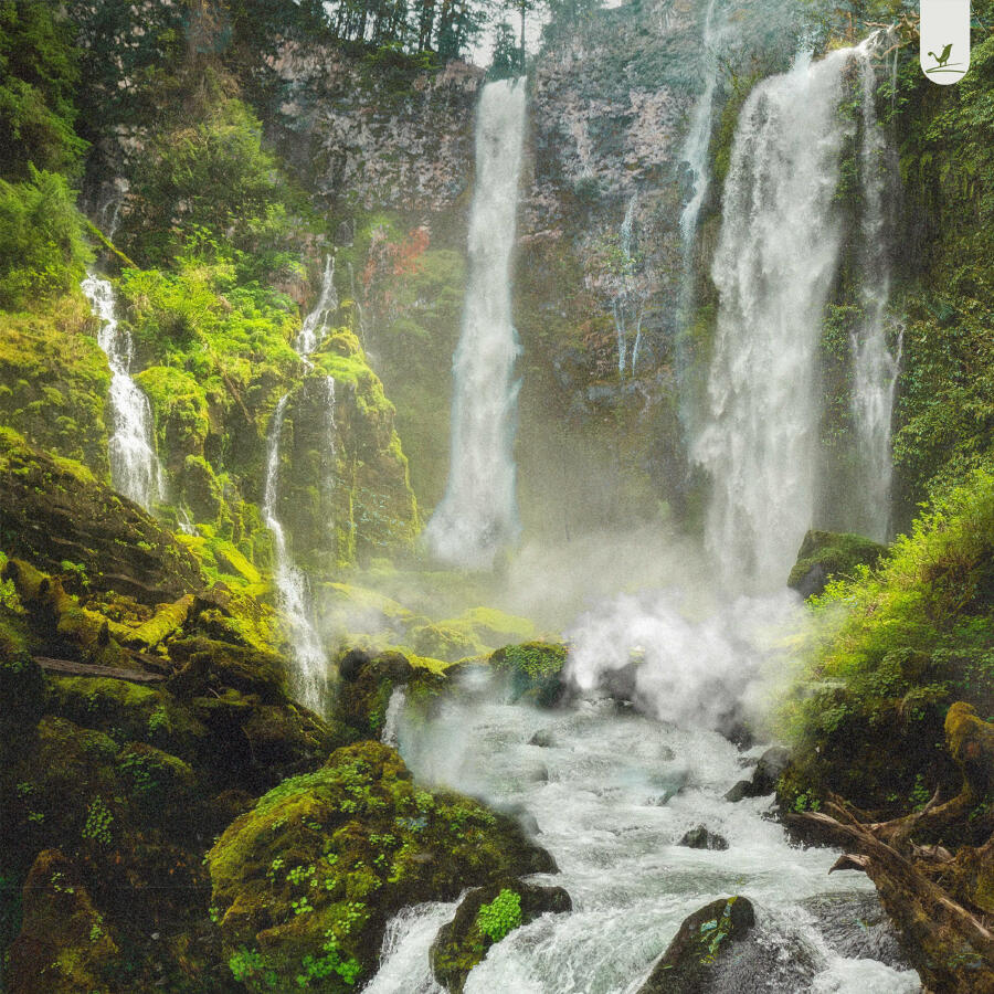 Релиз Waterfalls