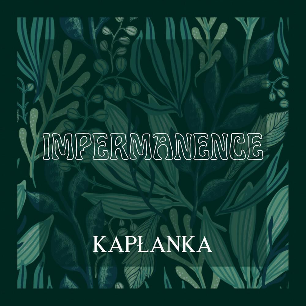 Релиз Impermanence