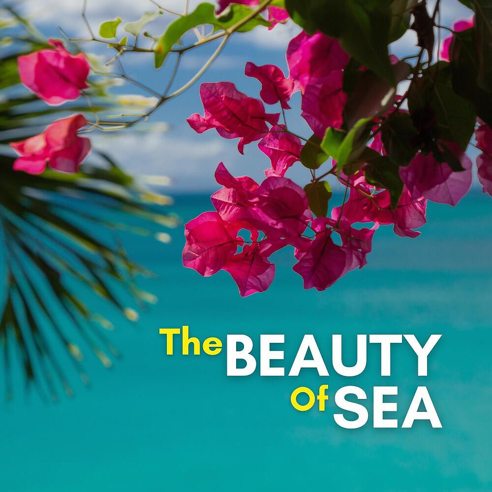 Релиз The Beauty of Sea