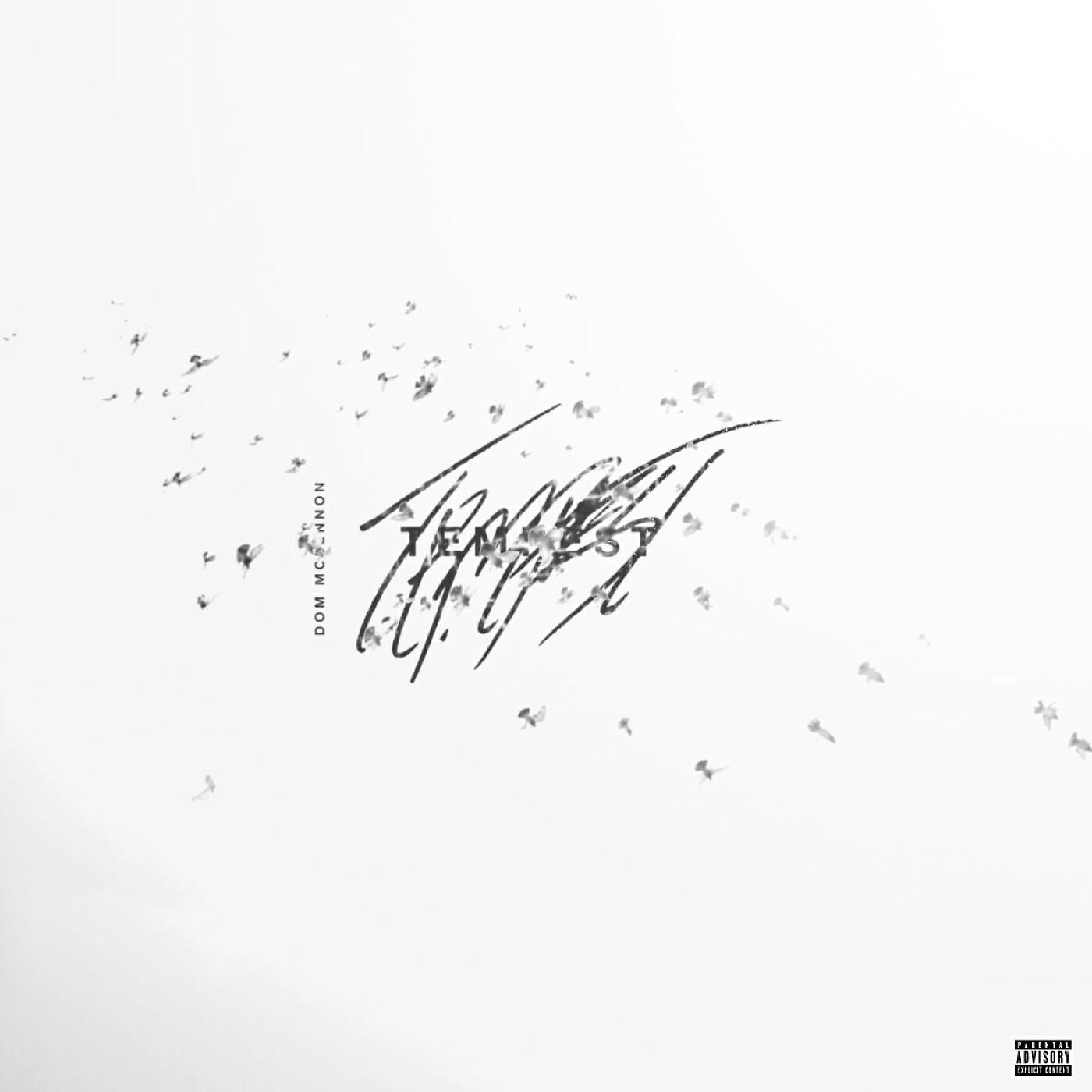 Релиз TEMPEST