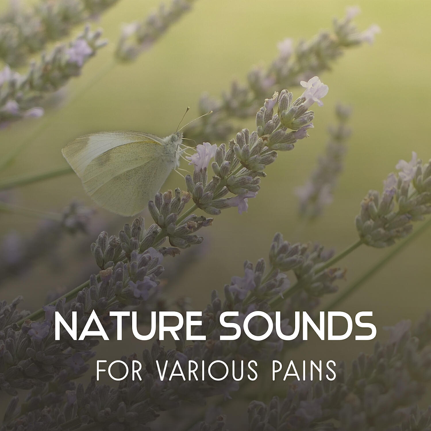 Релиз Nature Sounds for Various Pains – Hypnotic Music to Help You Fight with Physical & Mental Ailments, Therapeutic Melodies for Diseases Treatment