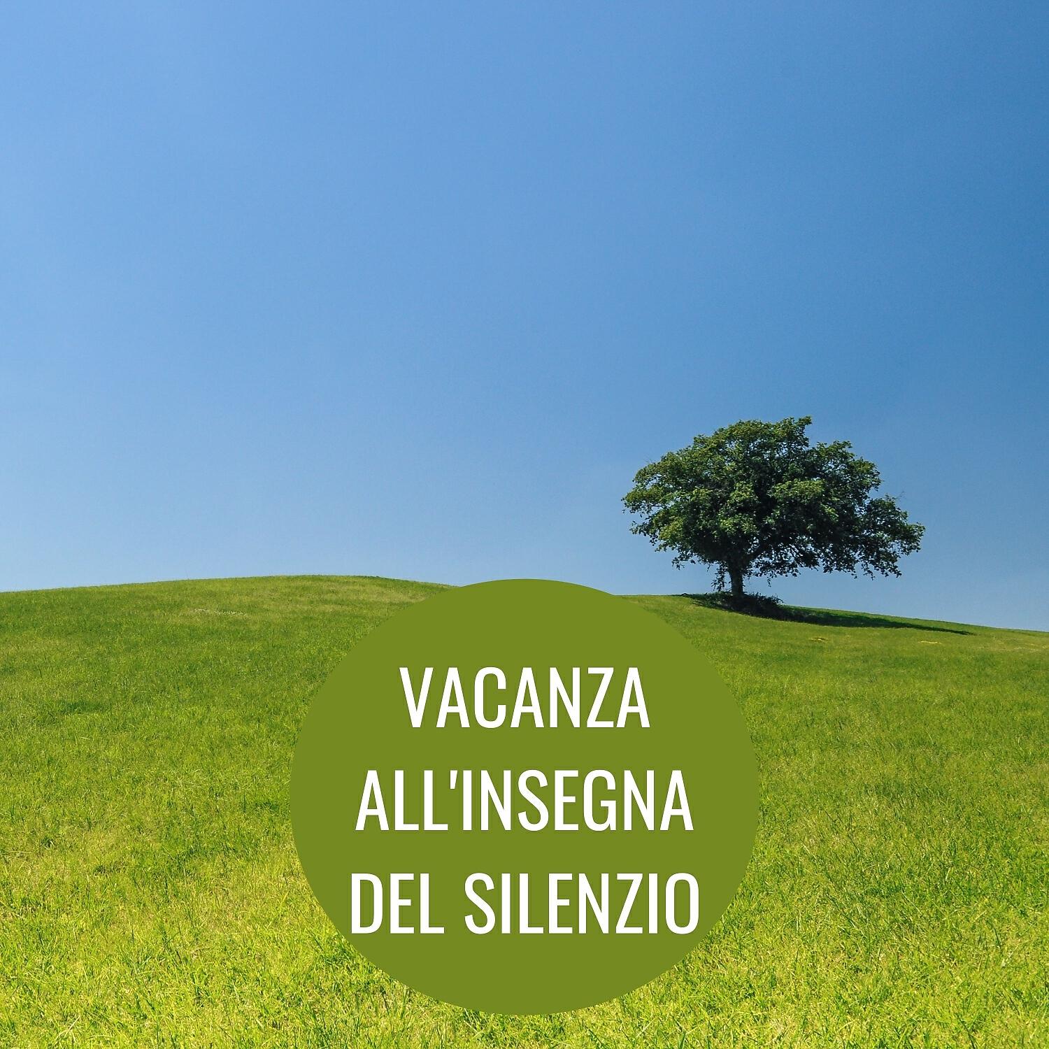 Релиз Vacanza All'insegna Del Silenzio