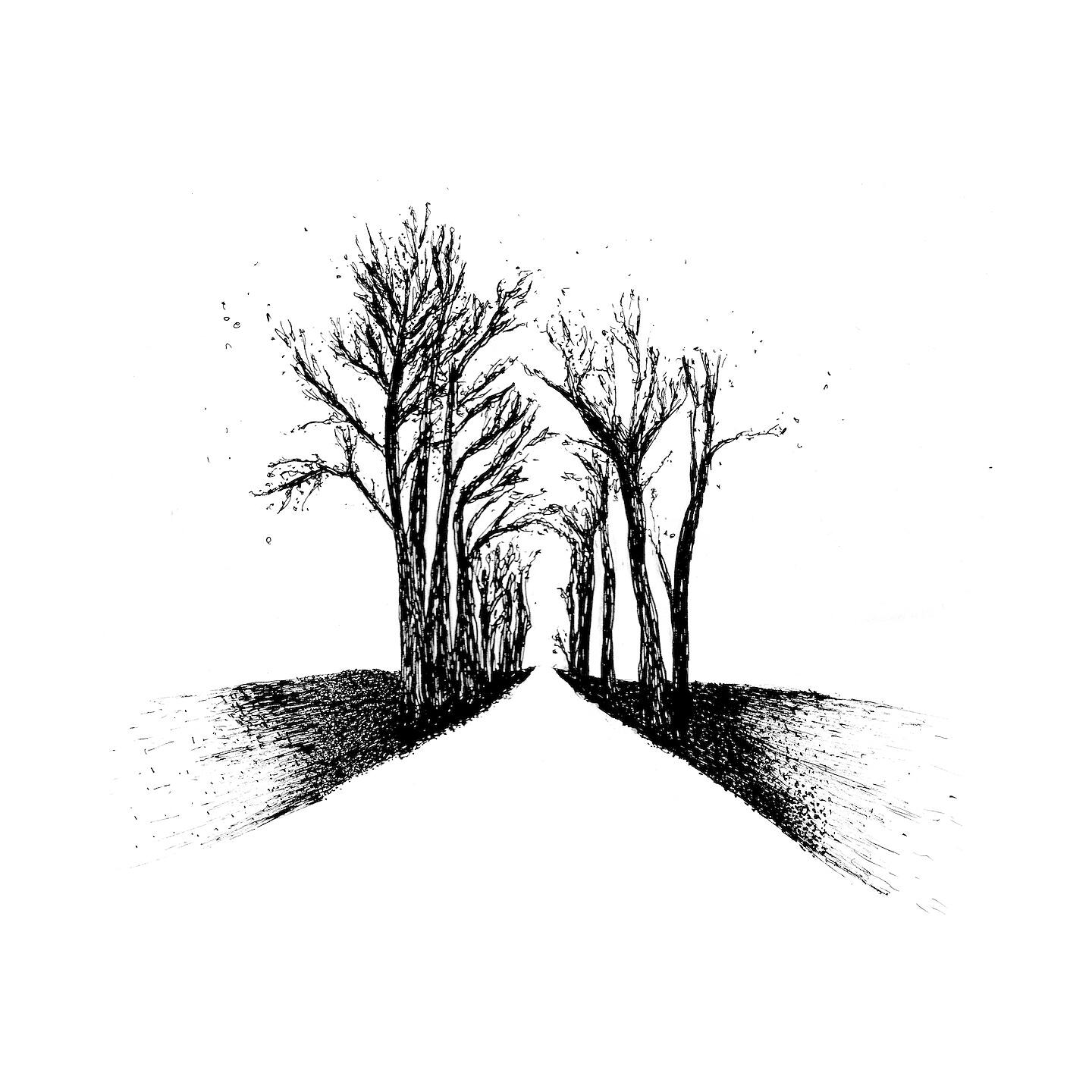 Релиз Shape