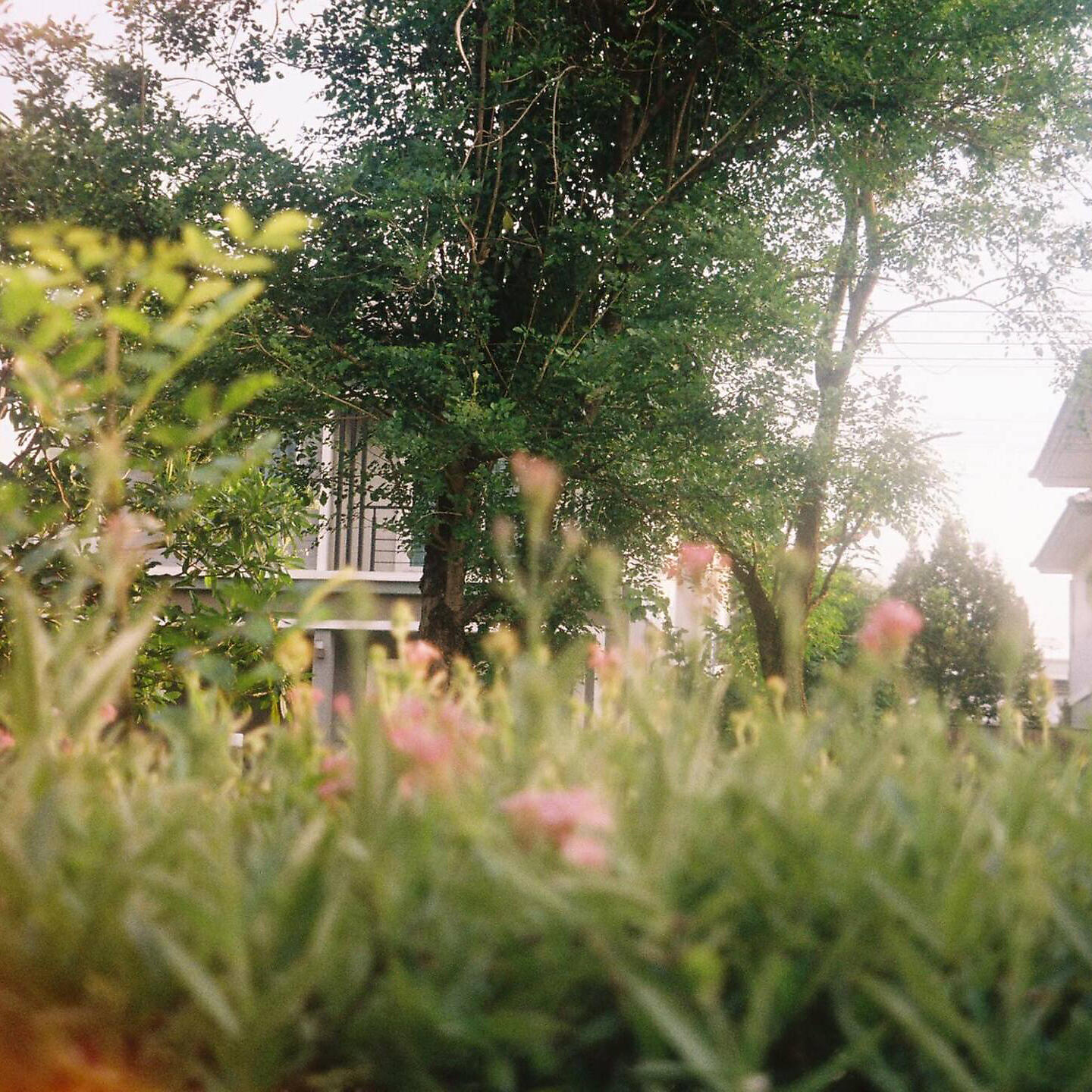 ATLEAST, DAVIDBOIE, 1st - 28/412