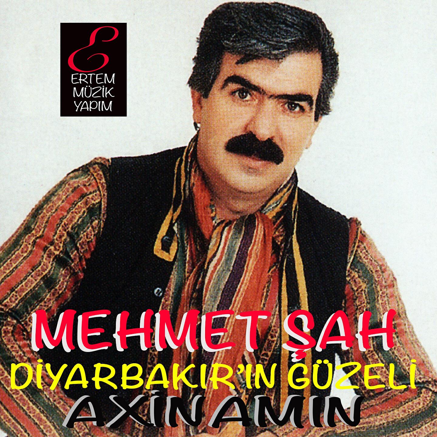 Релиз Diyarbakır'ın Güzeli / Axin Amın
