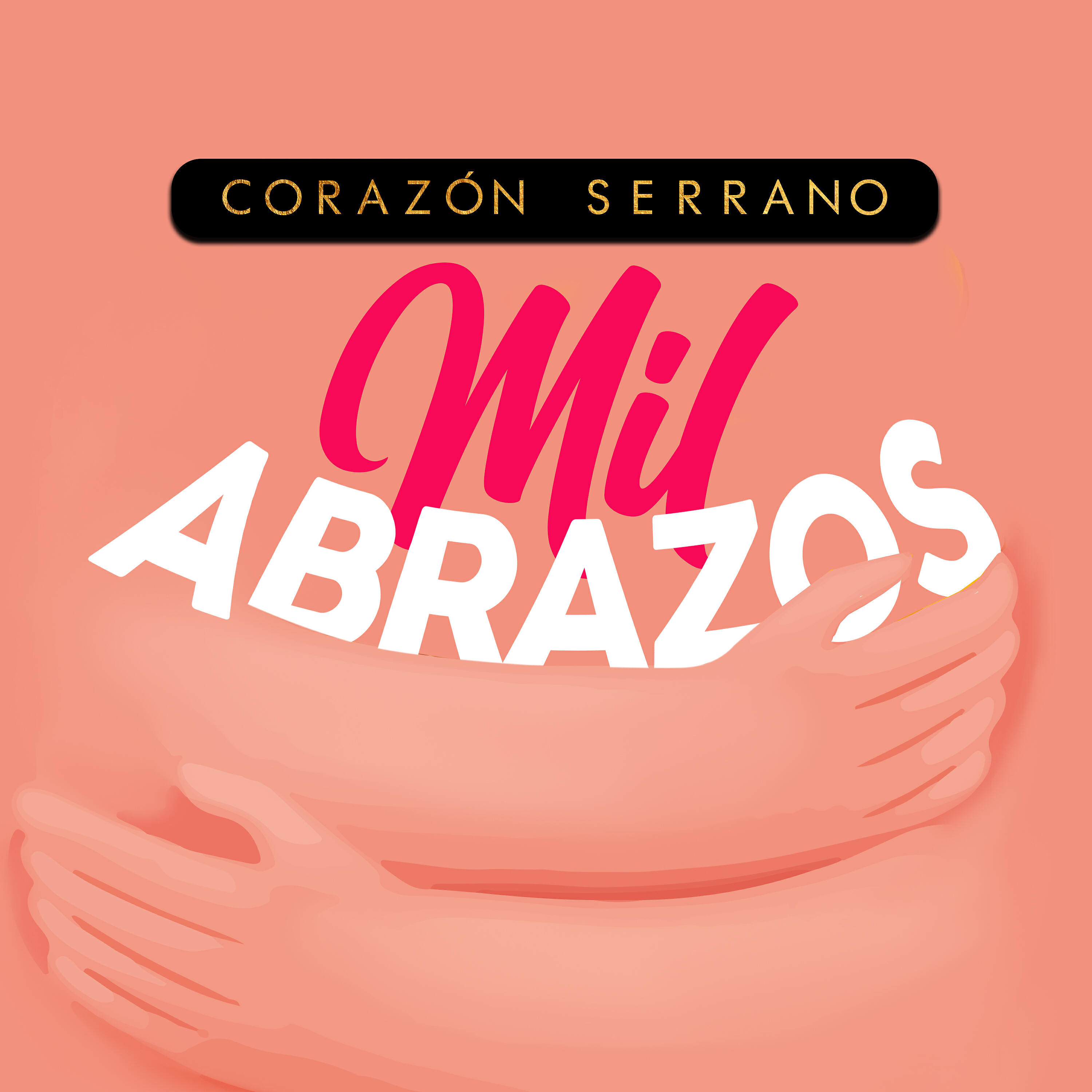 Релиз Mil Abrazos