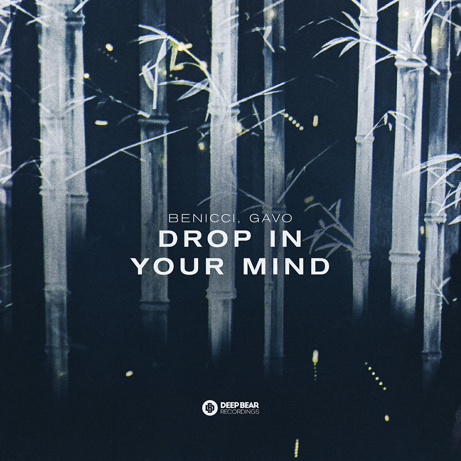 Скачать песню Benicci & Gavo - Drop In Your Mind бесплатно в MP3 для Android и iOS