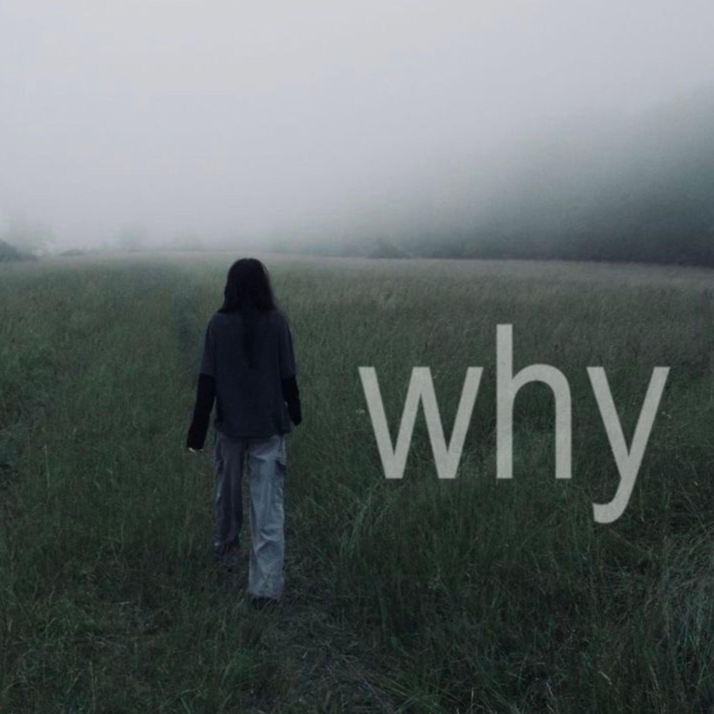 Релиз why