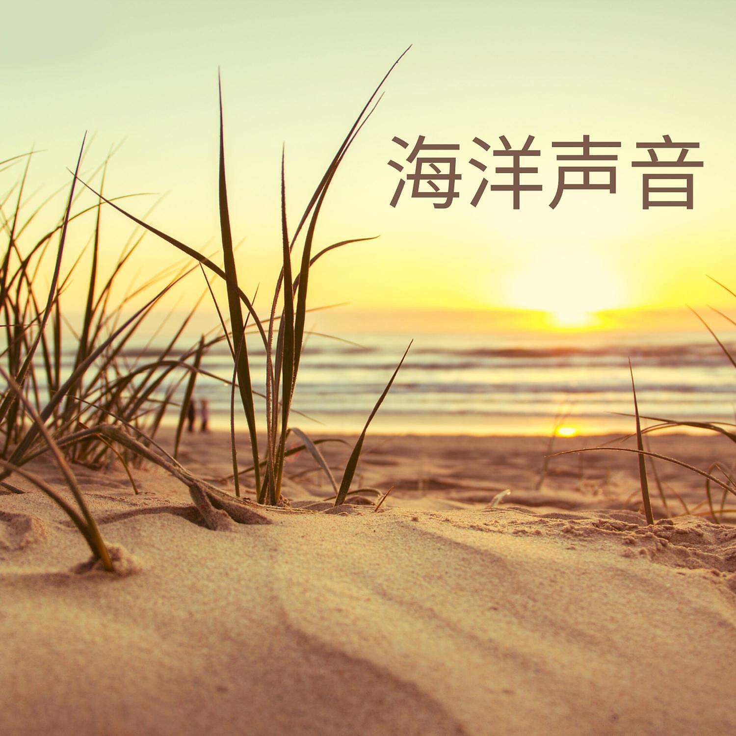 RW 愉快的海声