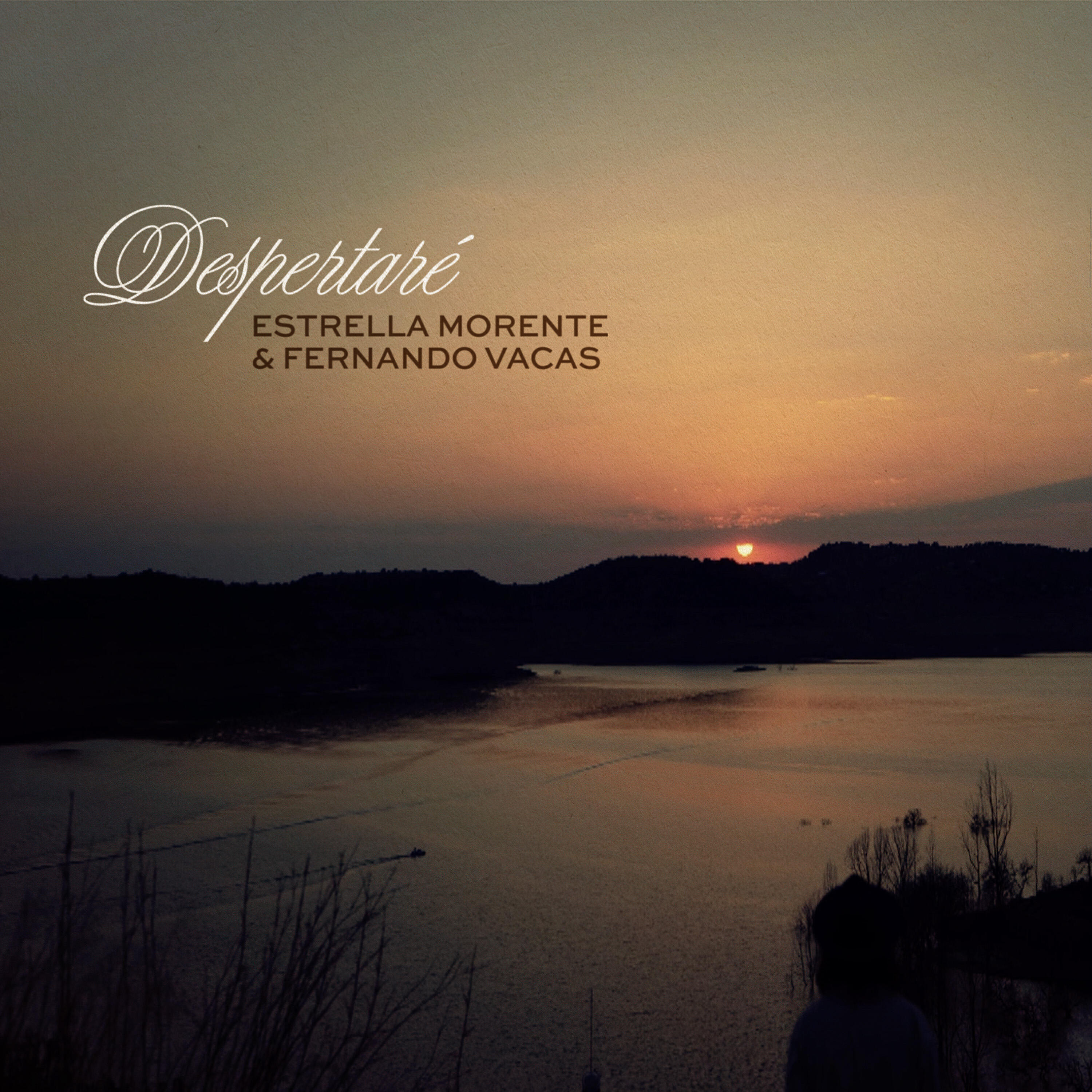 Релиз Despertaré (BSO La Vida Era Eso)