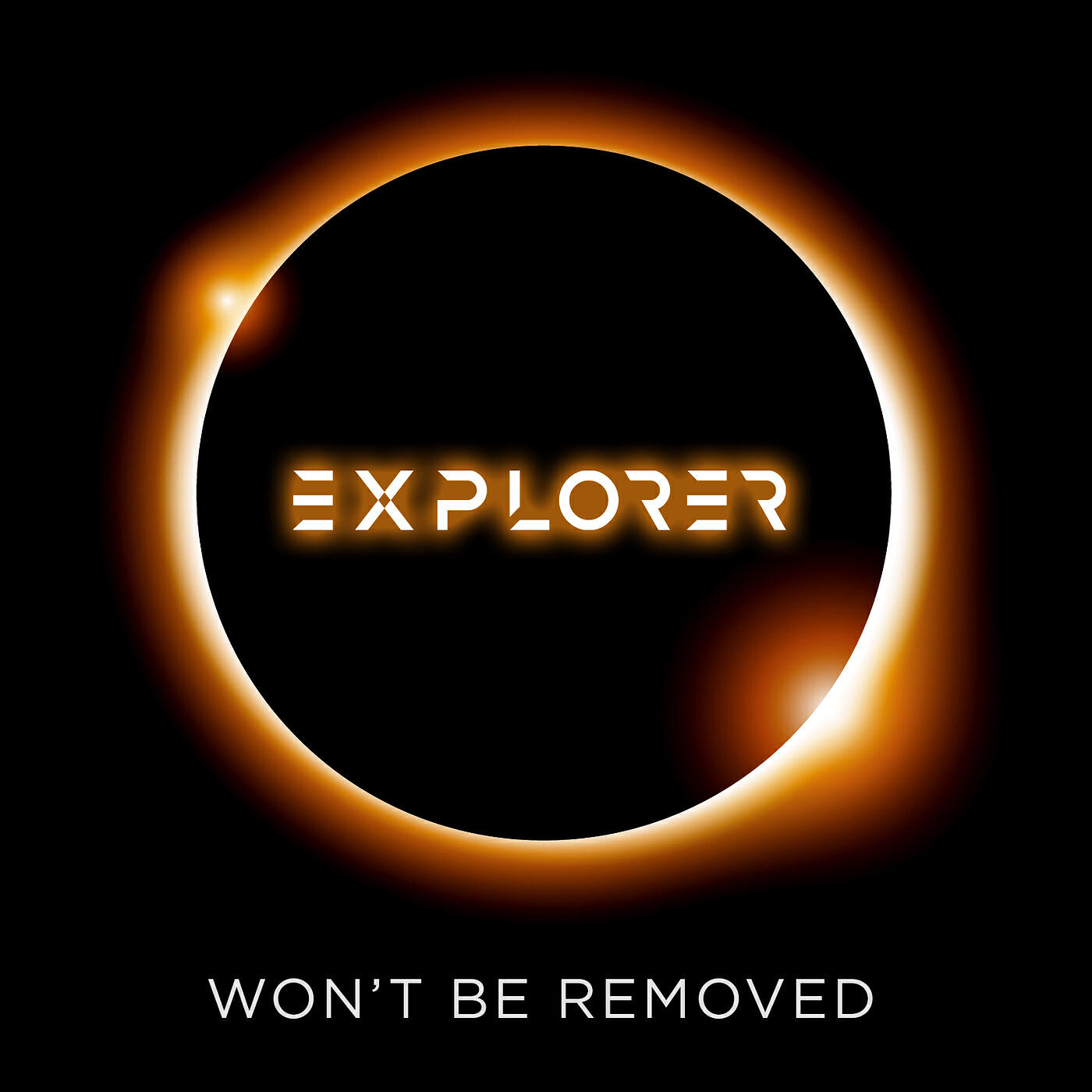 Релиз Won't Be Removed
