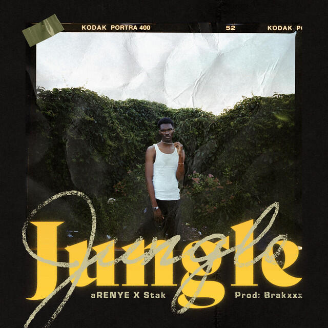 Релиз Jungle