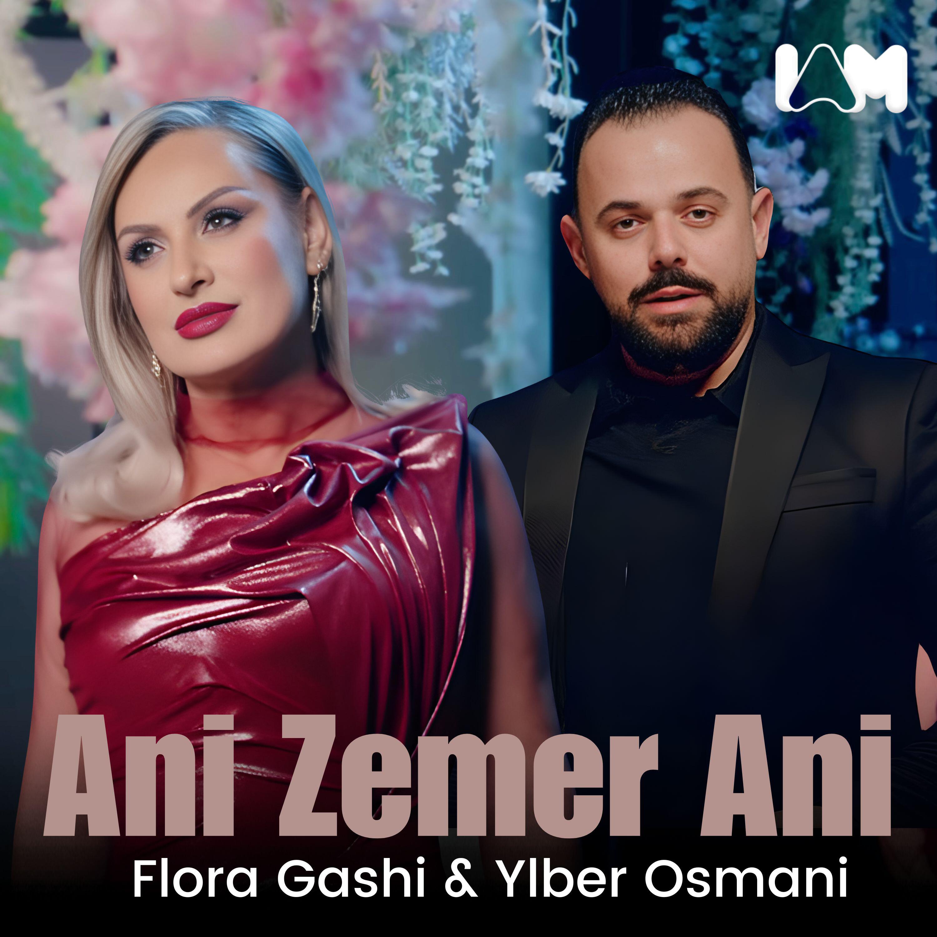 Релиз Ani Zemer Ani