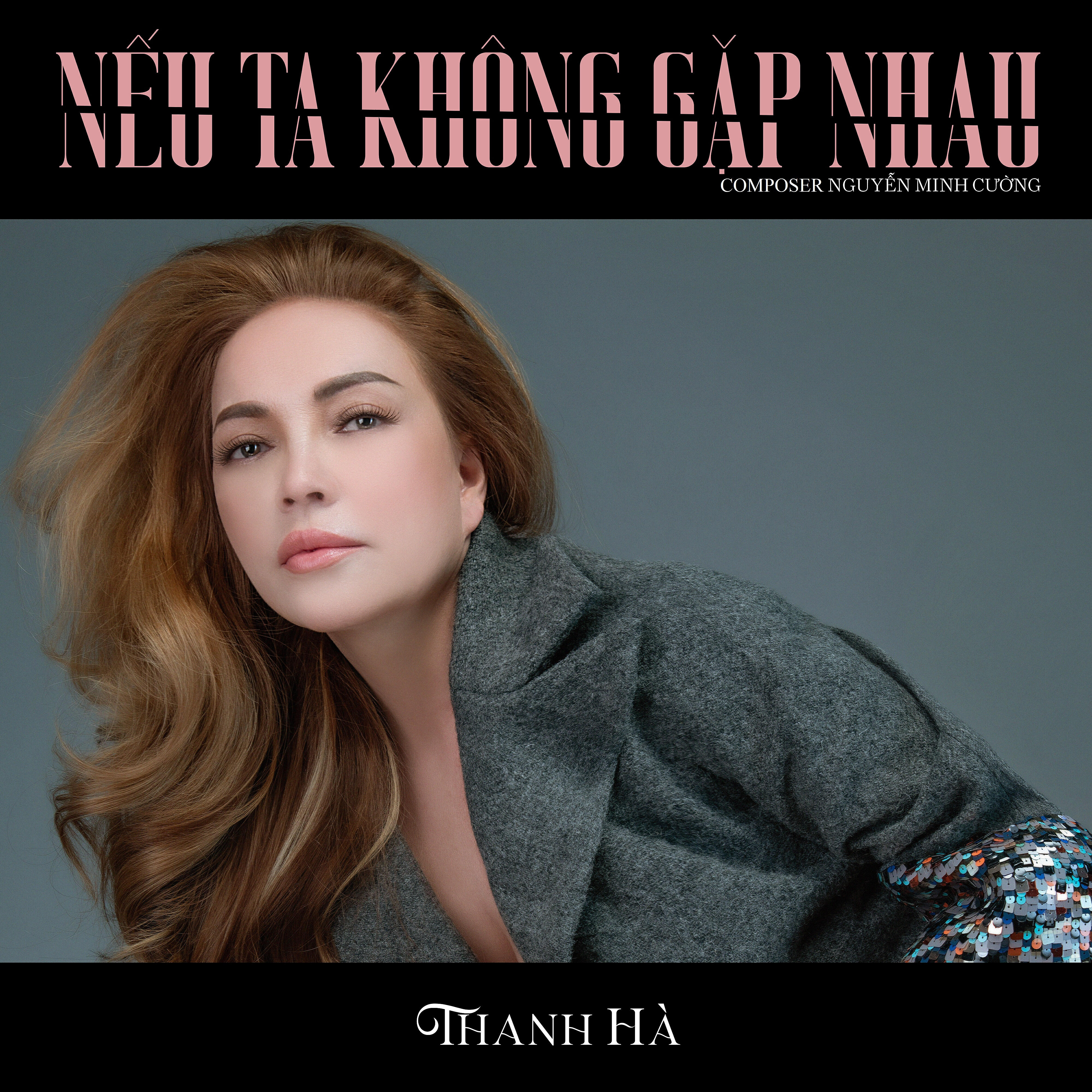 Релиз Nếu Ta Không Gặp Nhau
