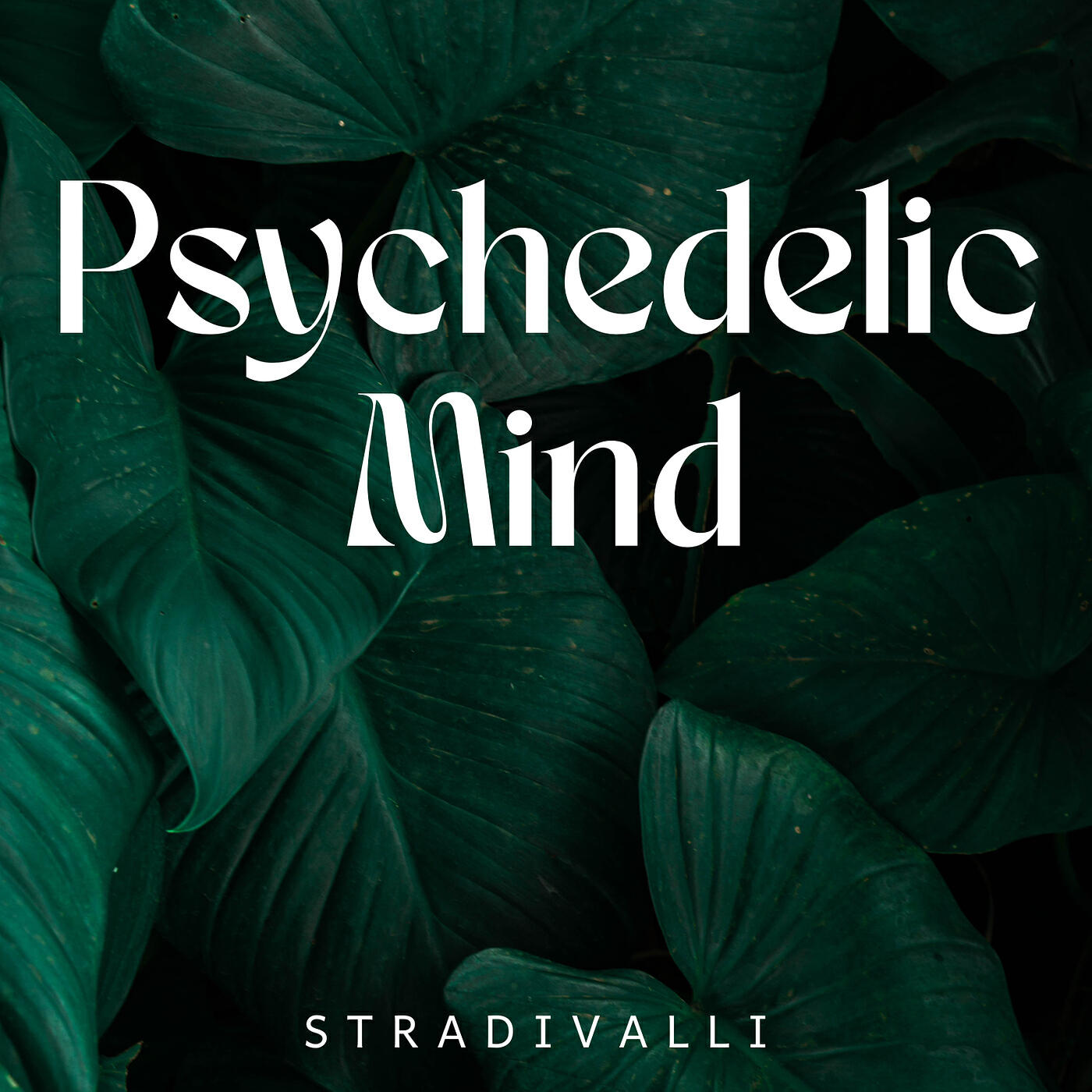 Релиз Psychedelic Mind