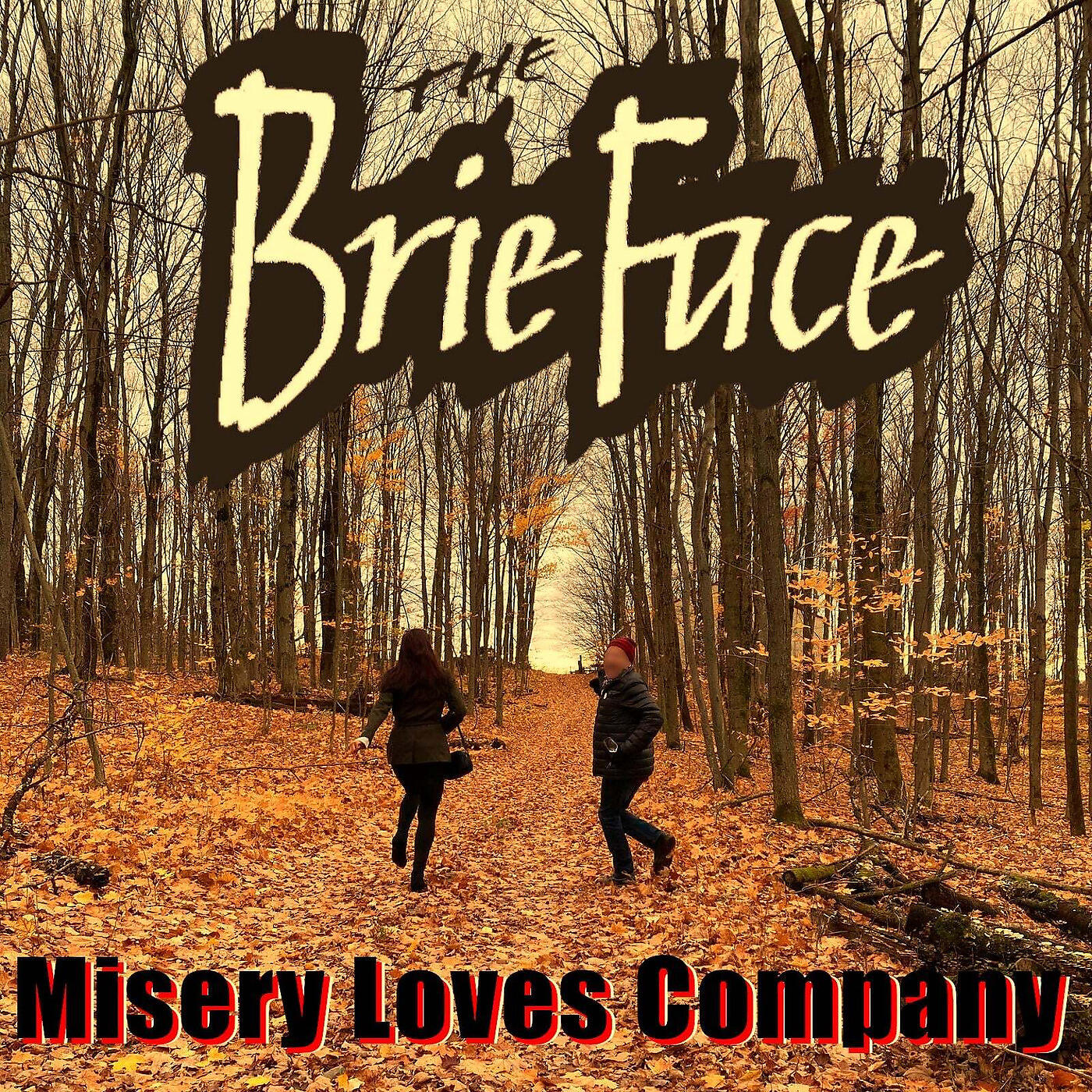 Релиз Misery Loves Company