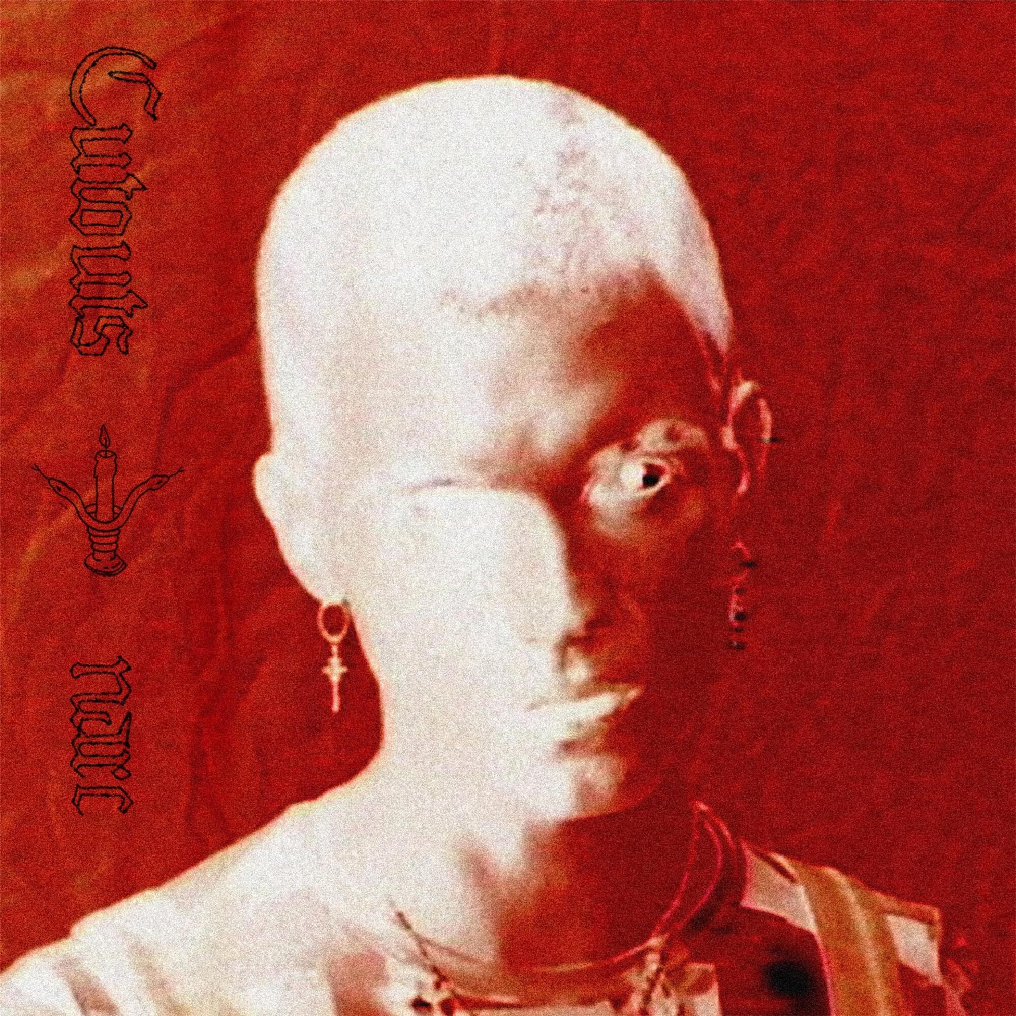 Релиз Narc