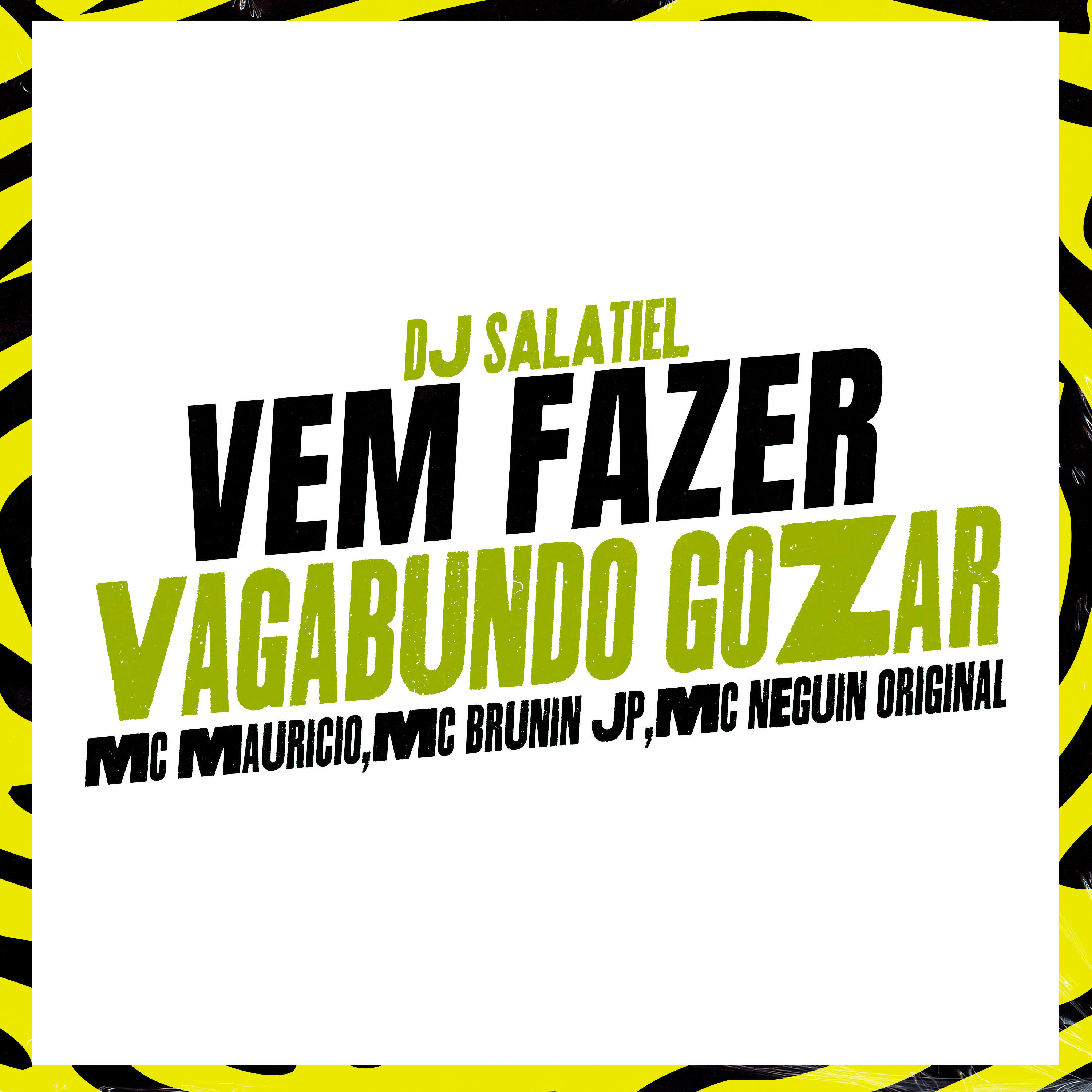 Релиз Vem Fazer Vagabundo Gozar