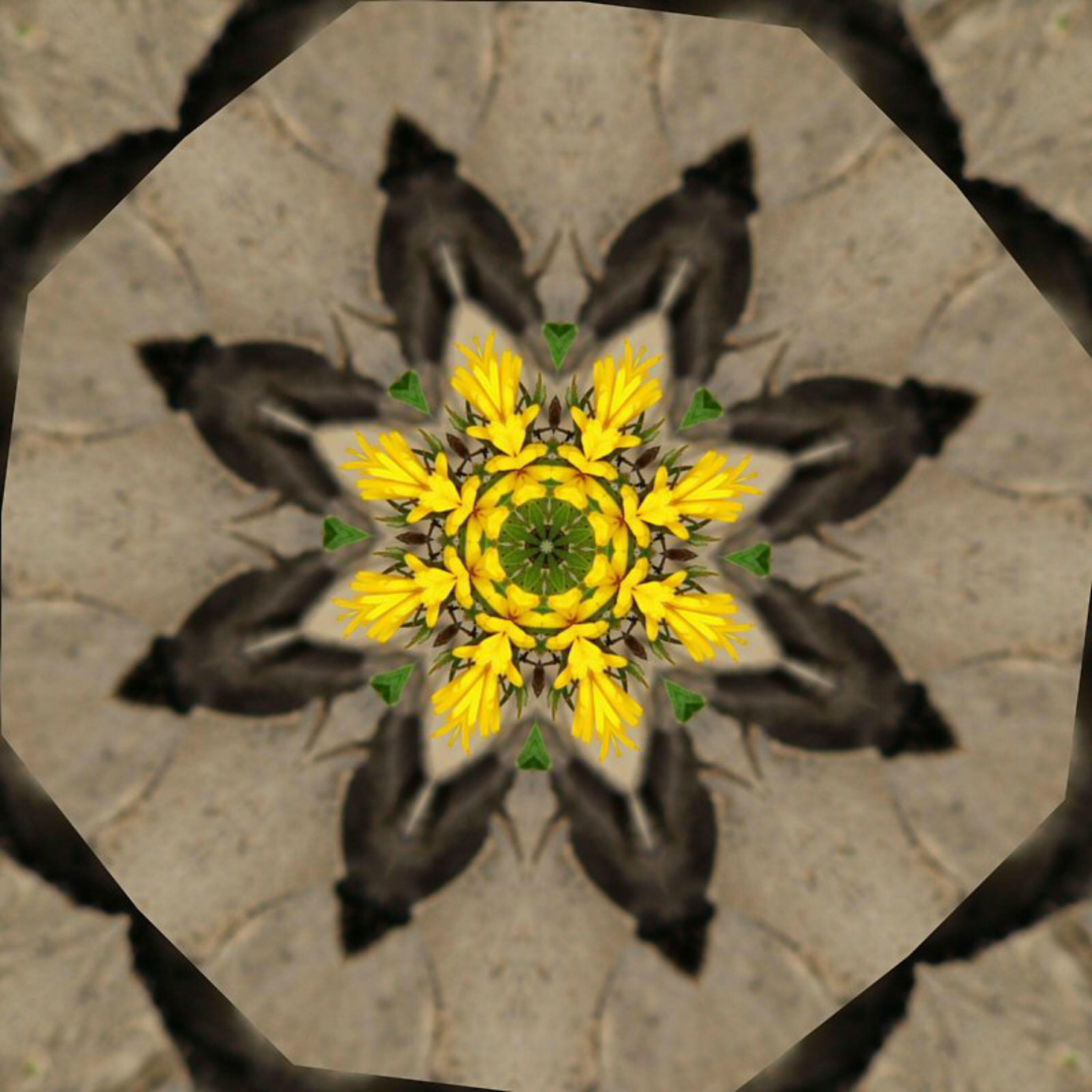 Релиз Lost Desert Flower